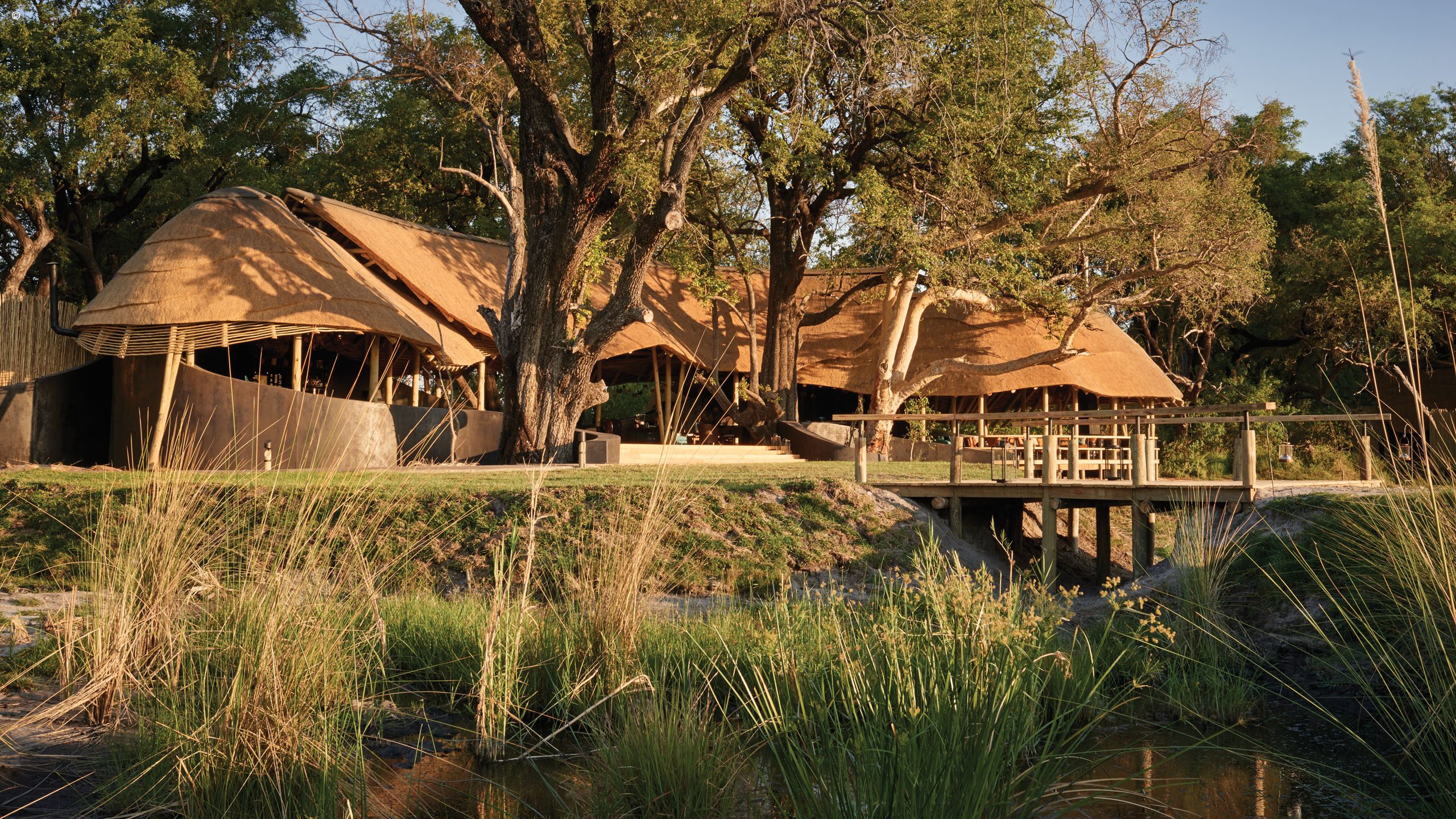 Eagle Island Lodge
