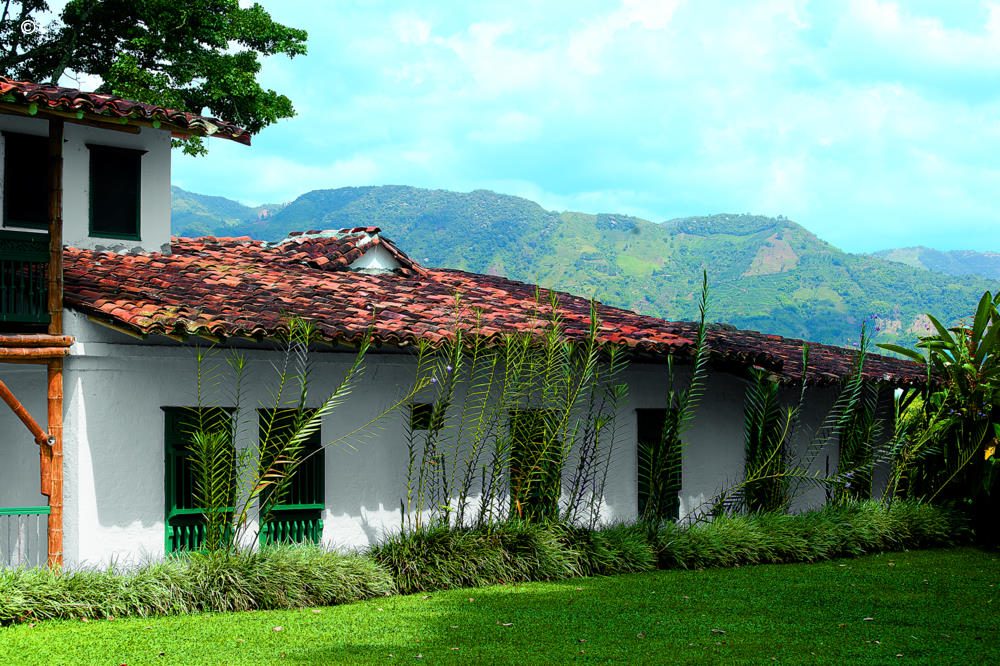 Hacienda Bambusa