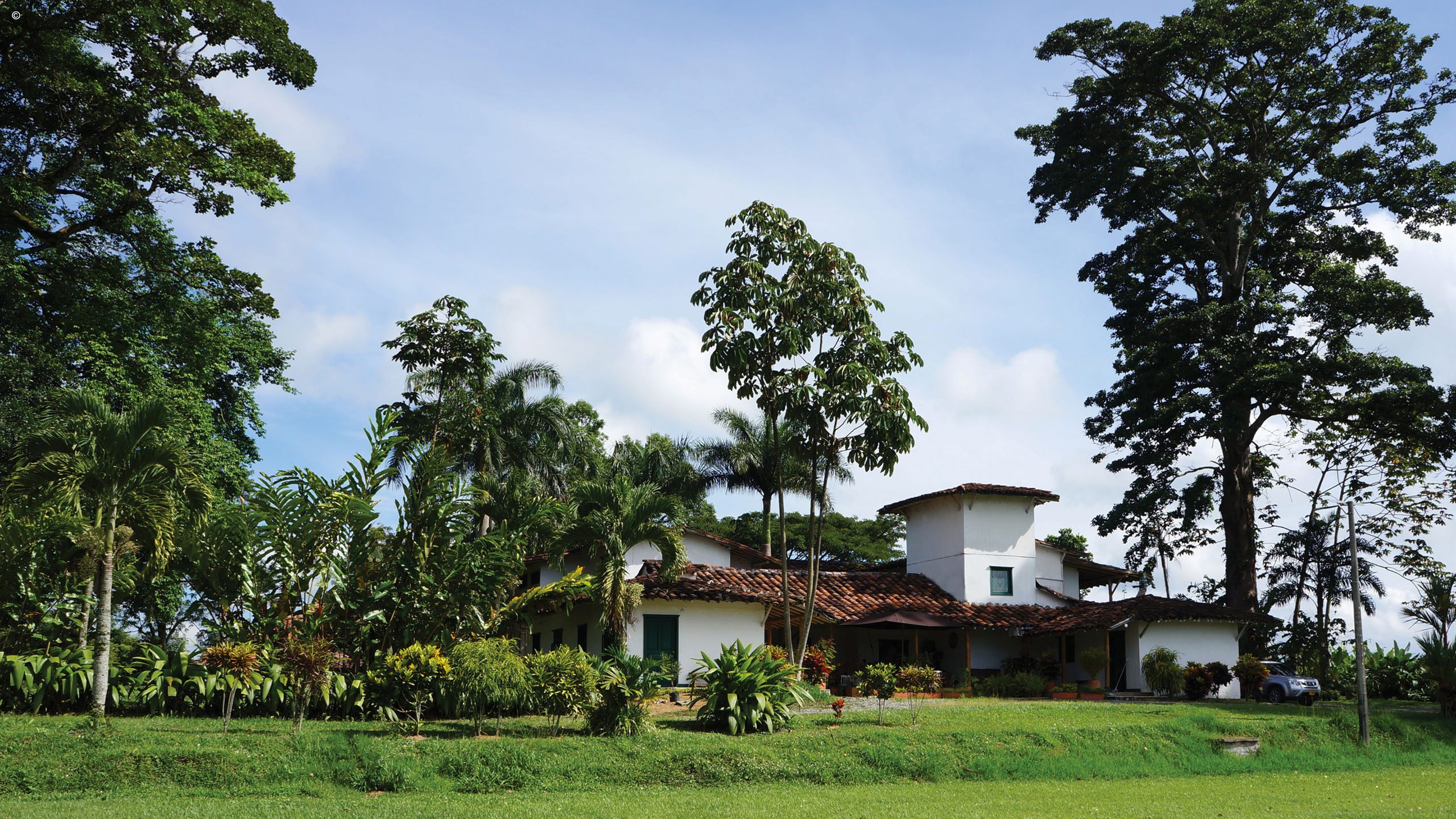 Hacienda Bambusa