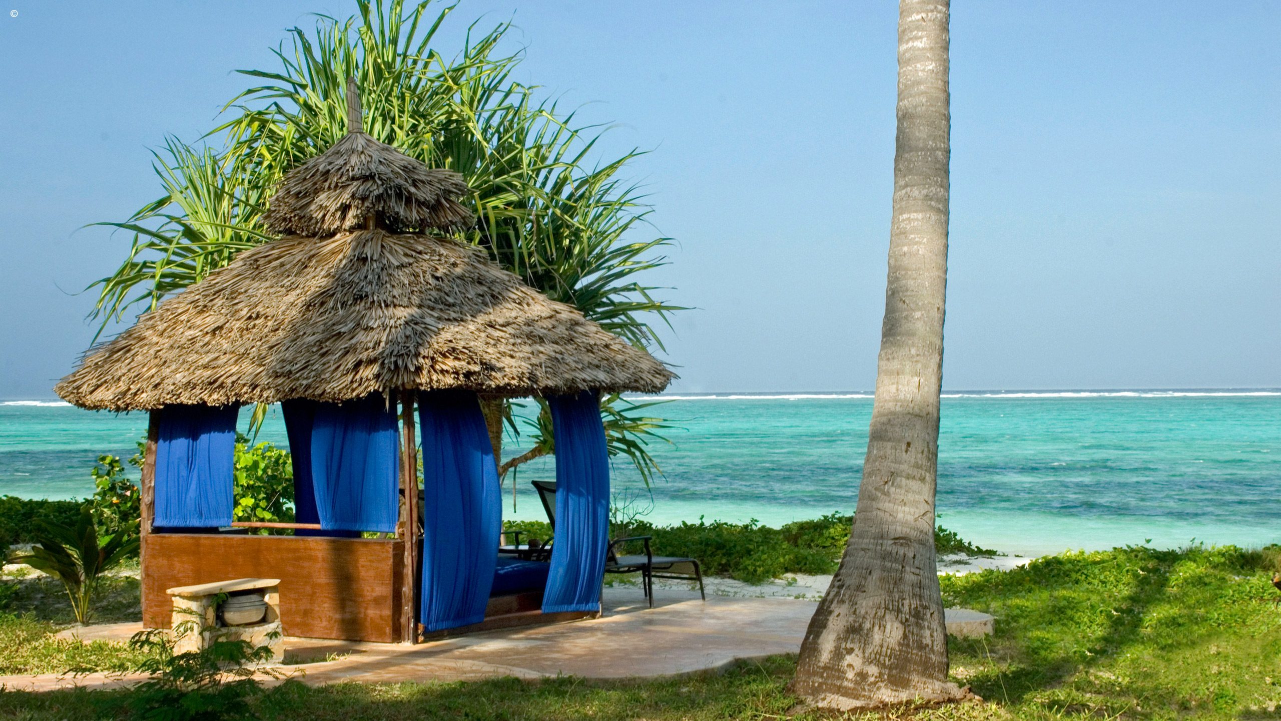 The Palms