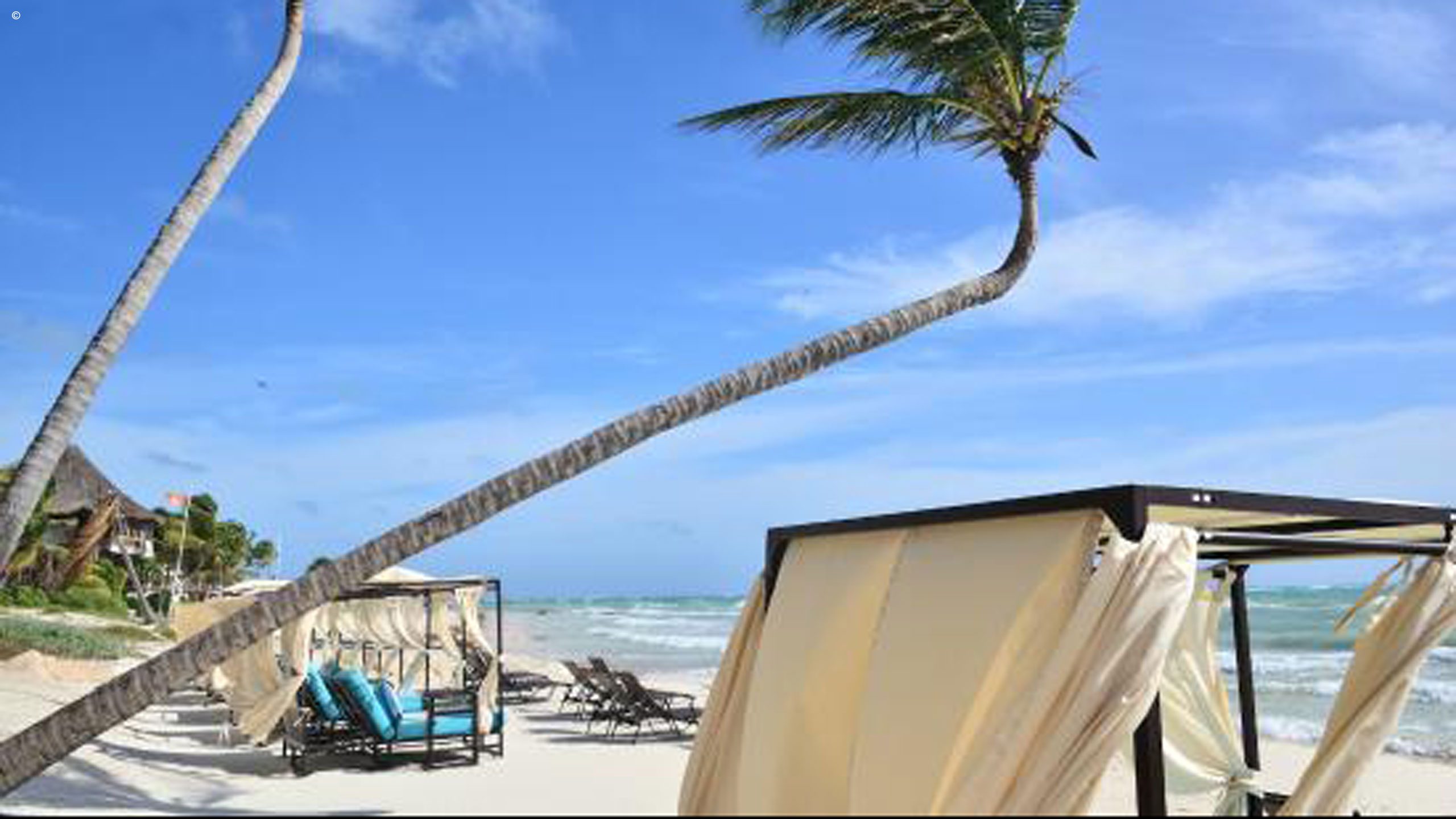 Coral Tulum