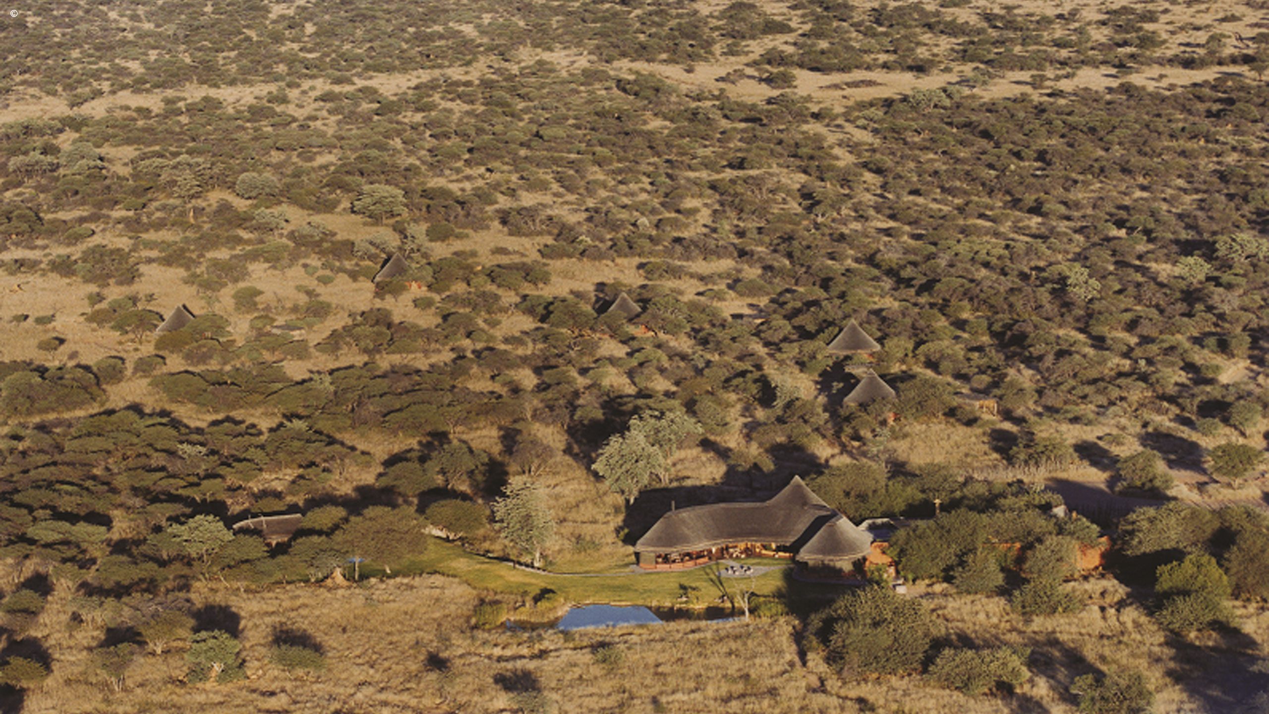 Okonjima Bush Camp