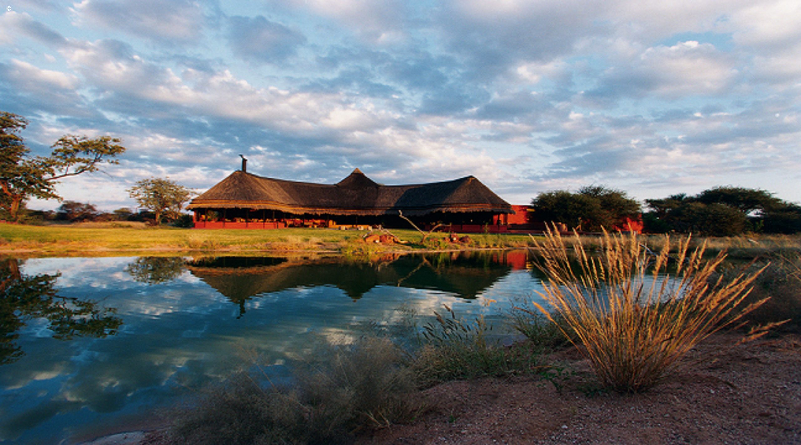 Okonjima Bush Camp