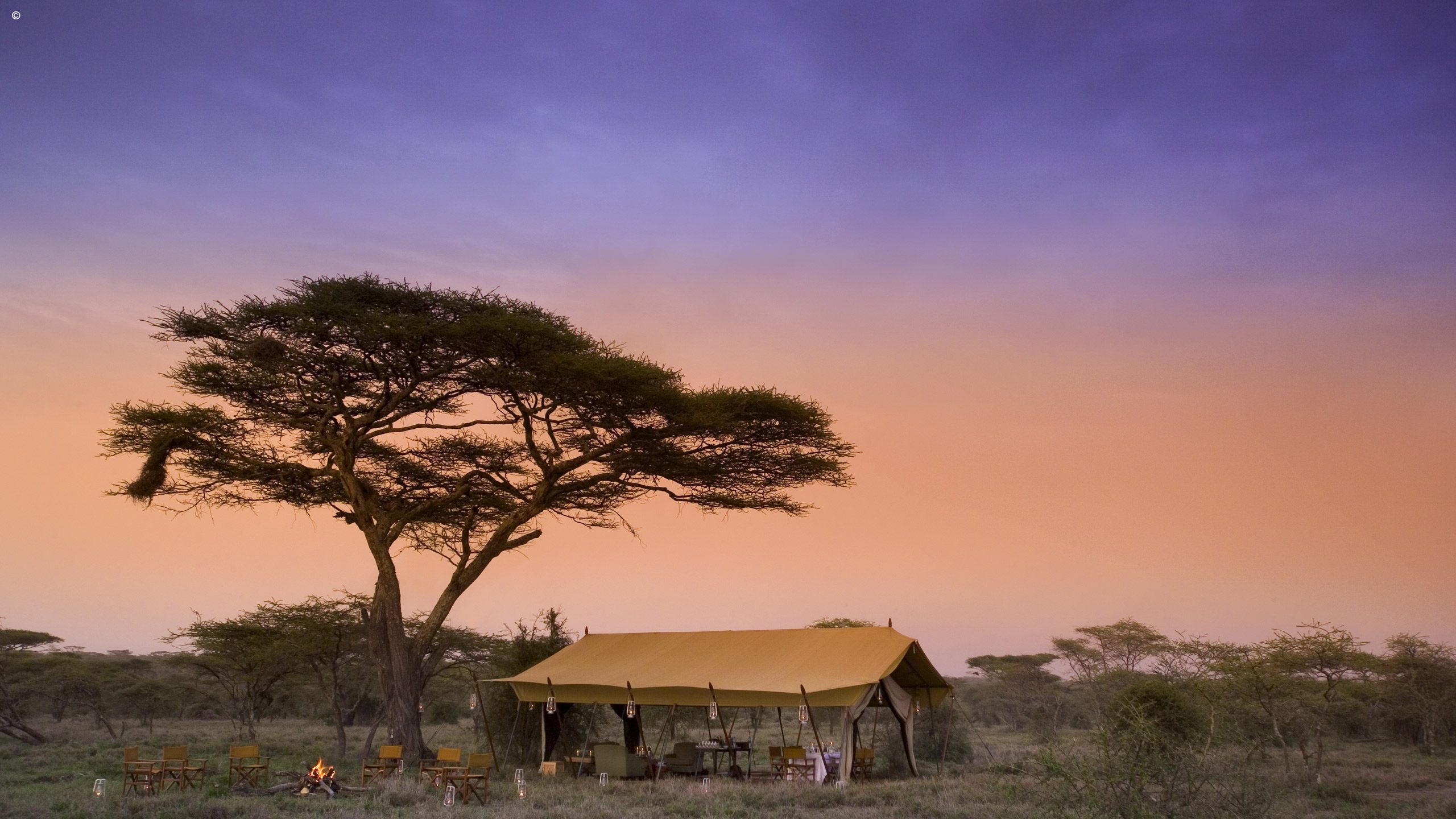 Serengeti Under Canvas