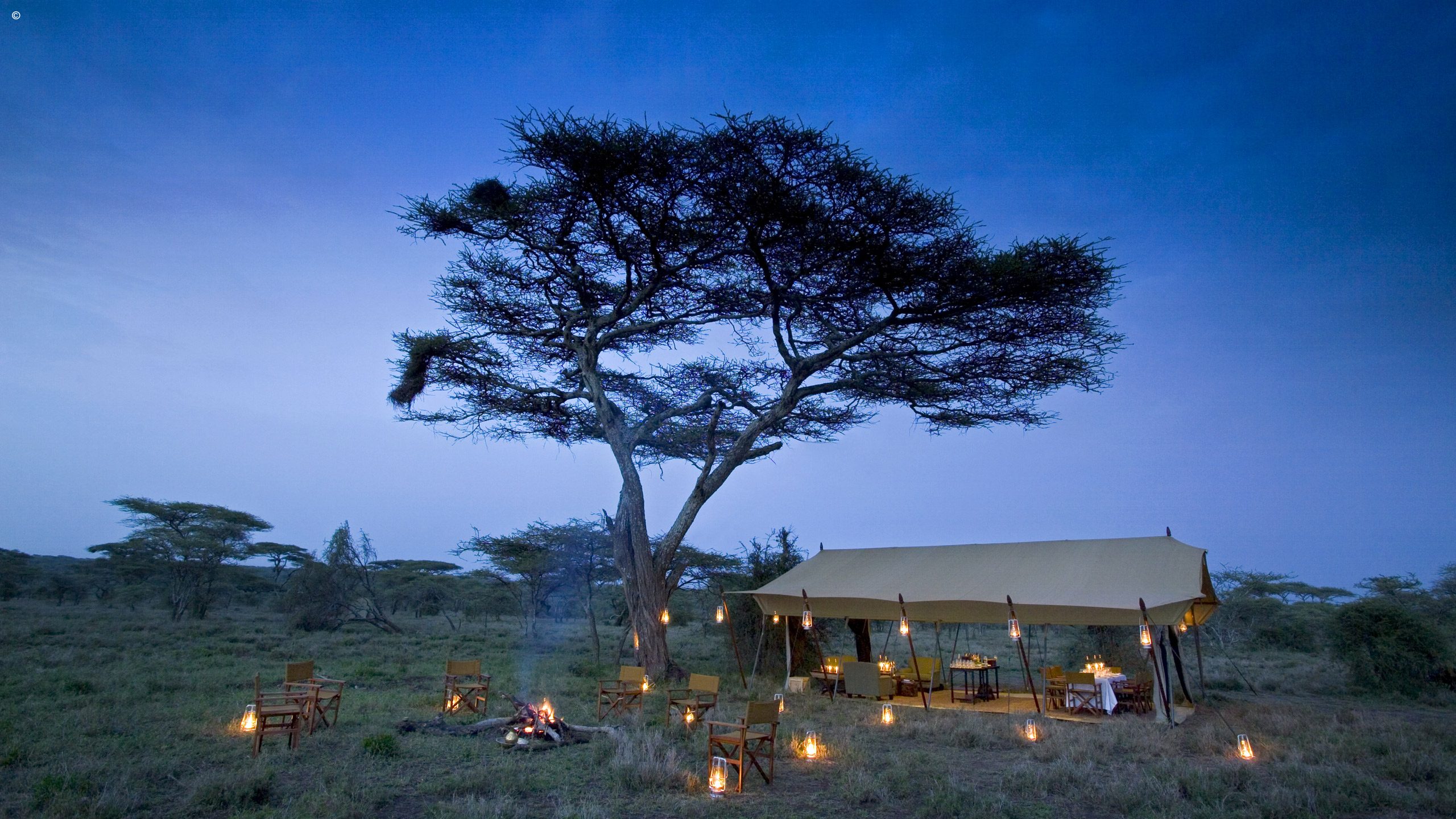 Serengeti Under Canvas
