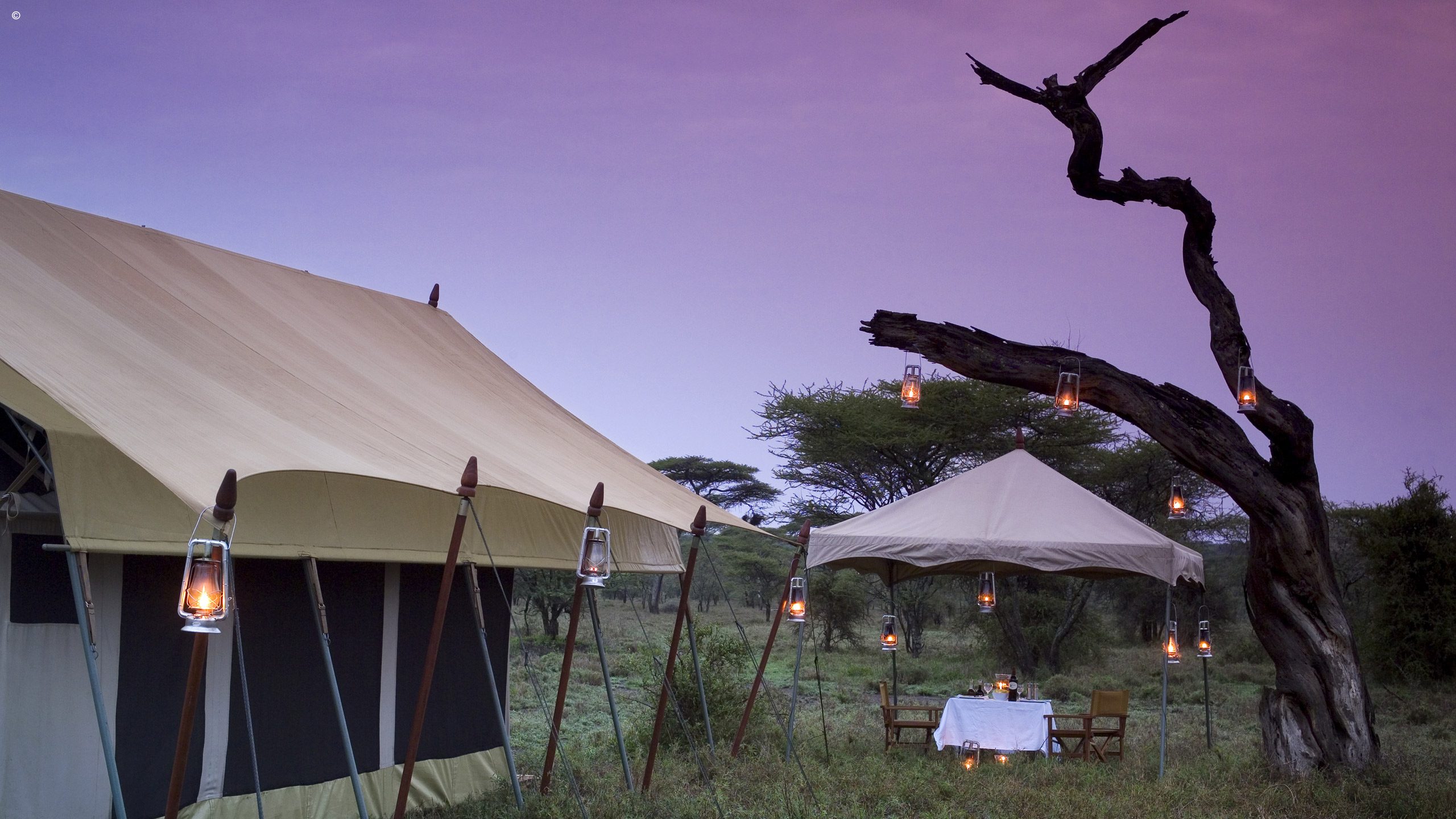 Serengeti Under Canvas