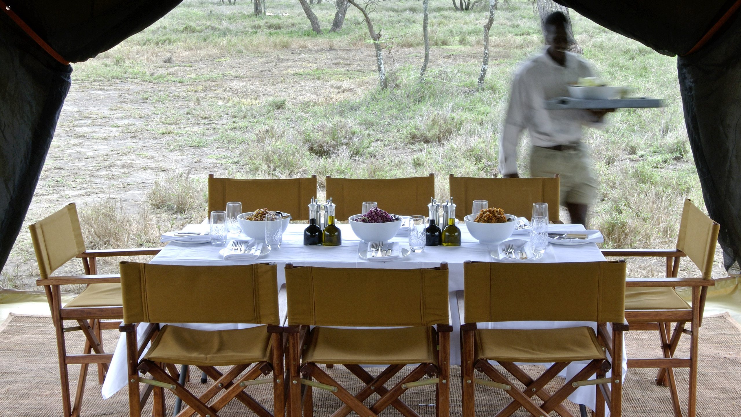 Serengeti Under Canvas
