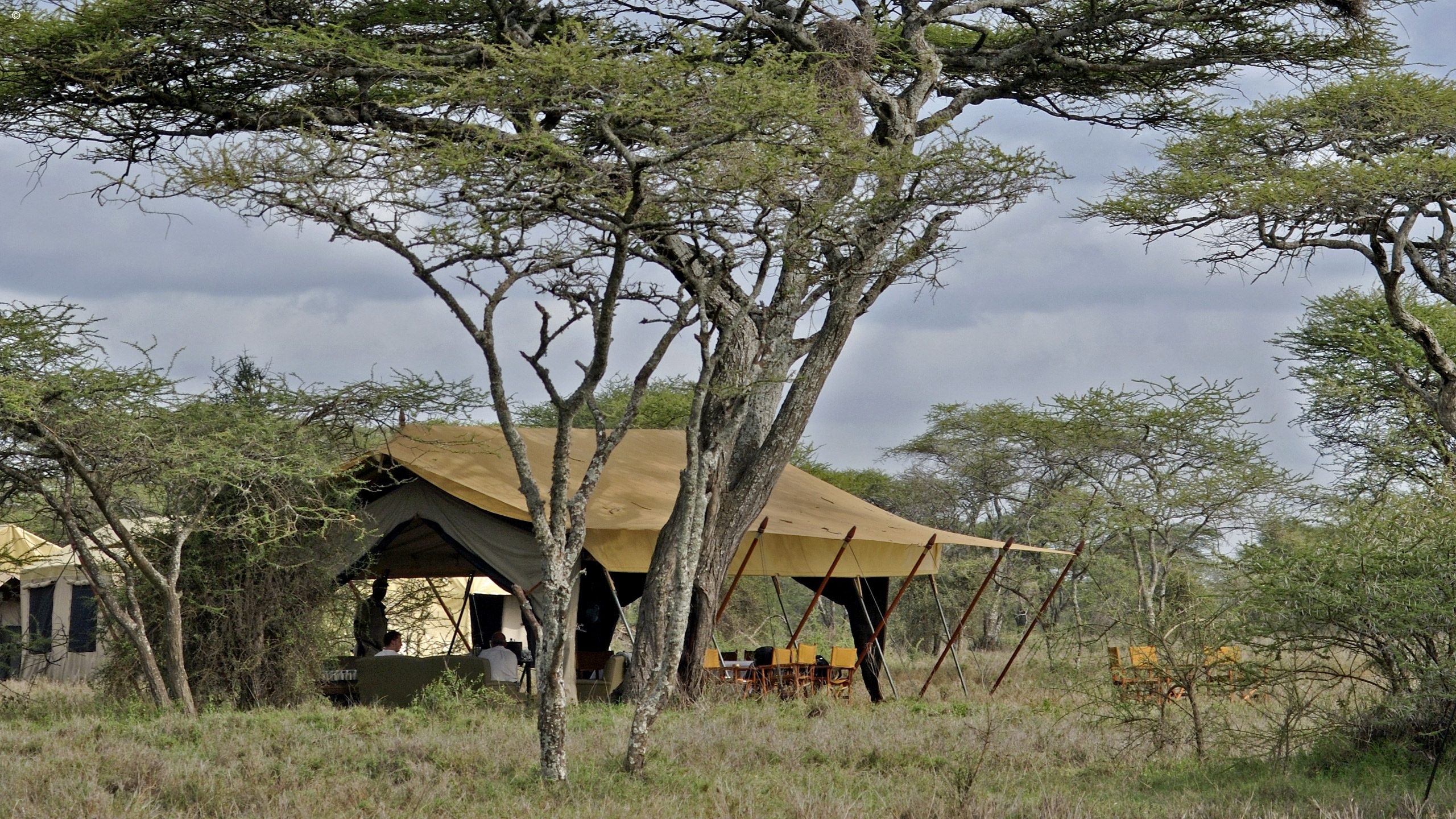 Serengeti Under Canvas