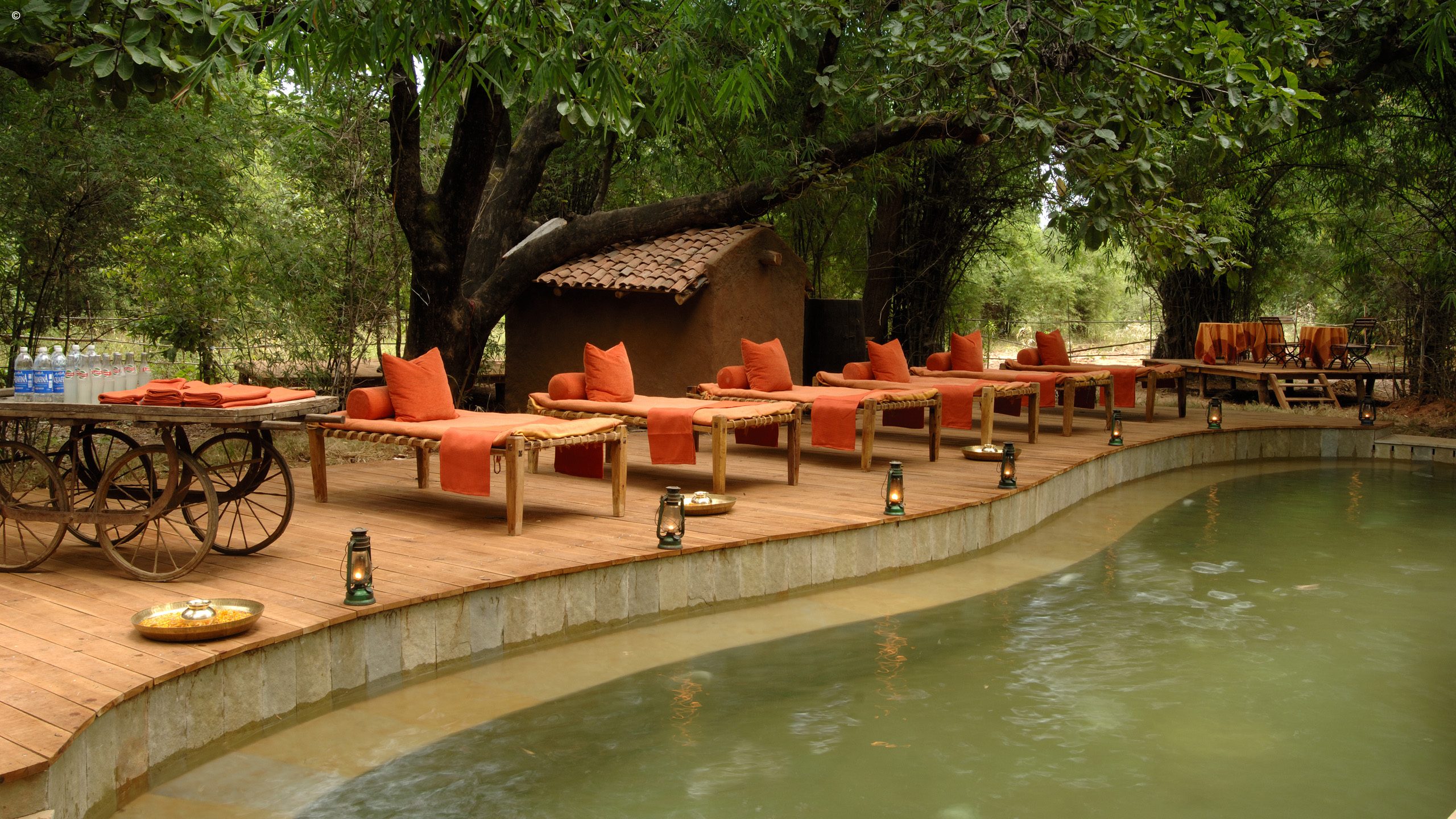 Mahua Kothi
