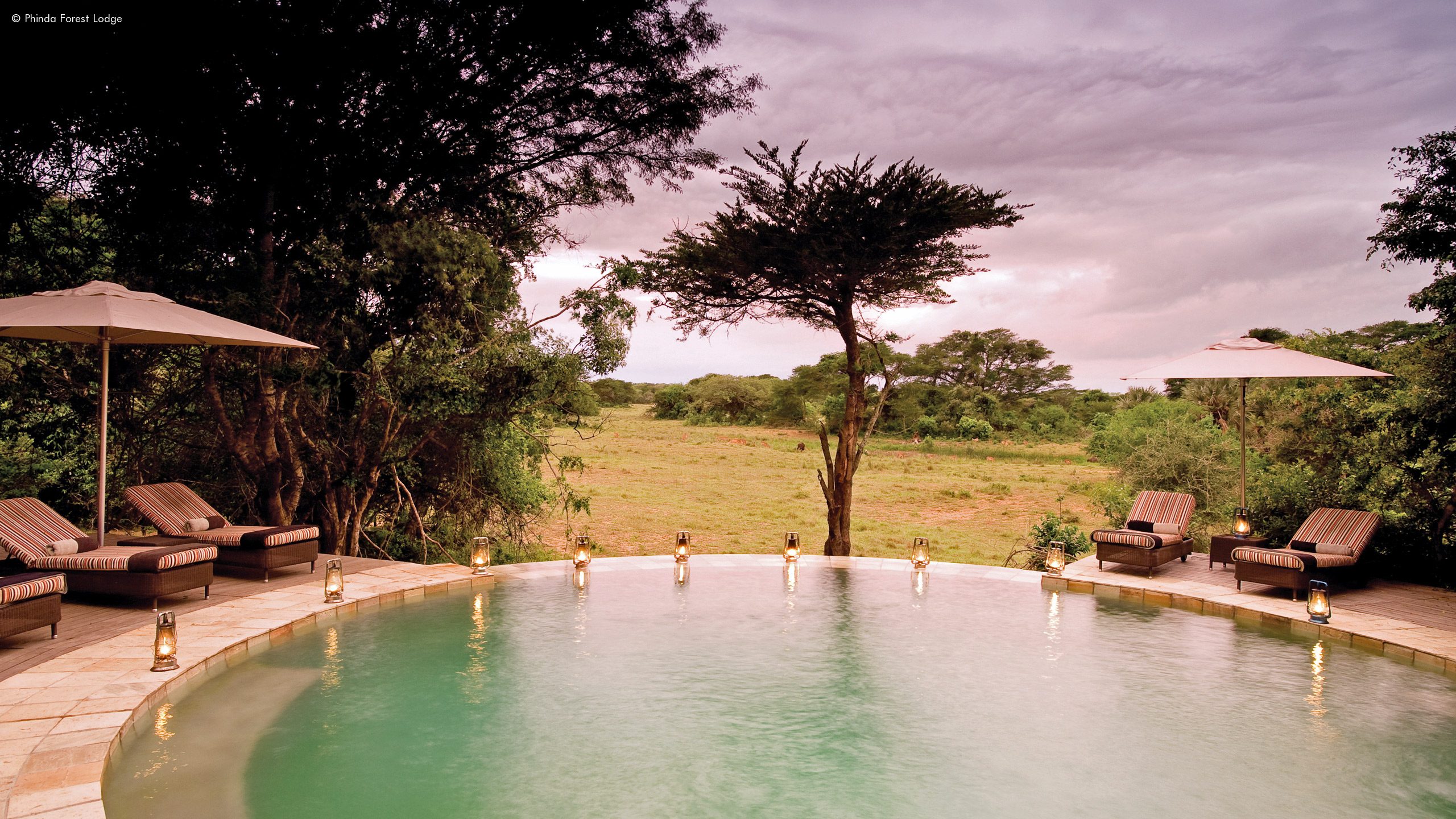 Phinda Forest Lodge