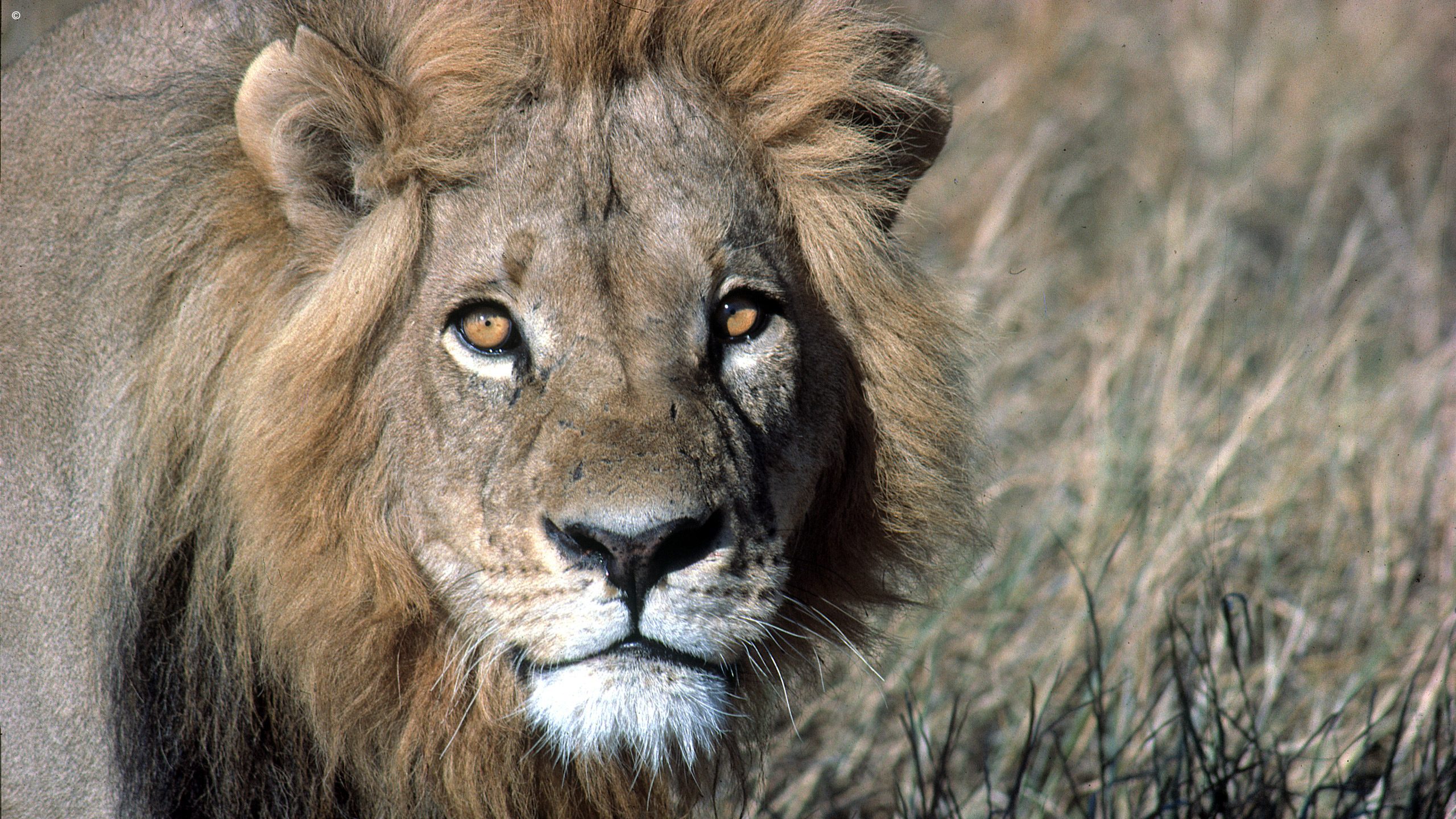 Phinda Private Game Reserve