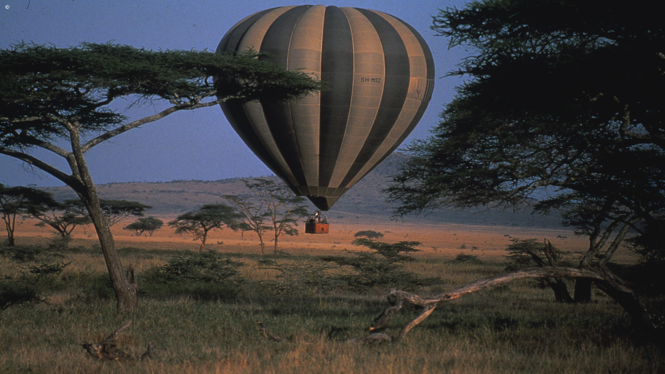 Kichwa Tembo Tented Camp