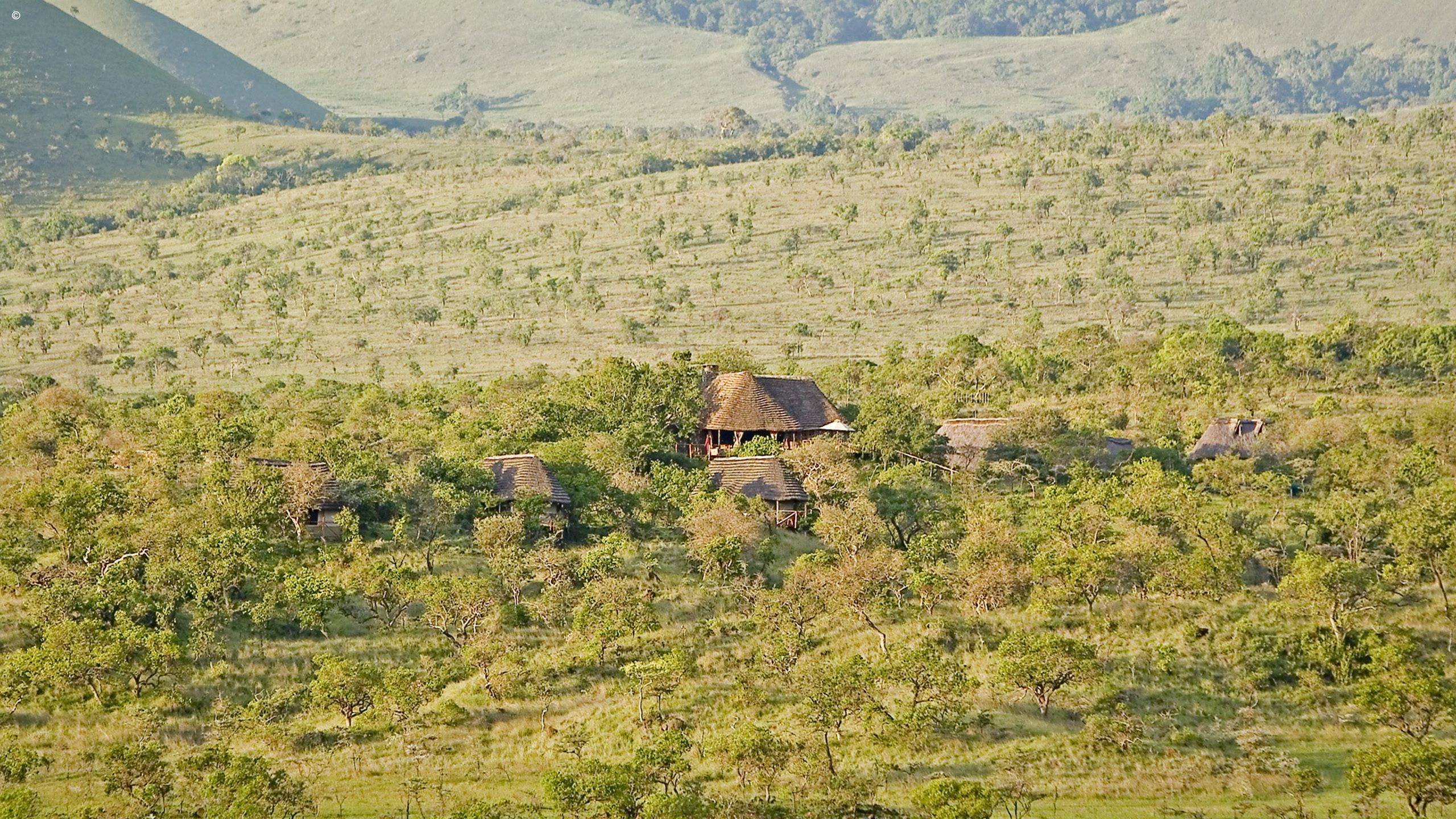 Campi Ya Kanzi