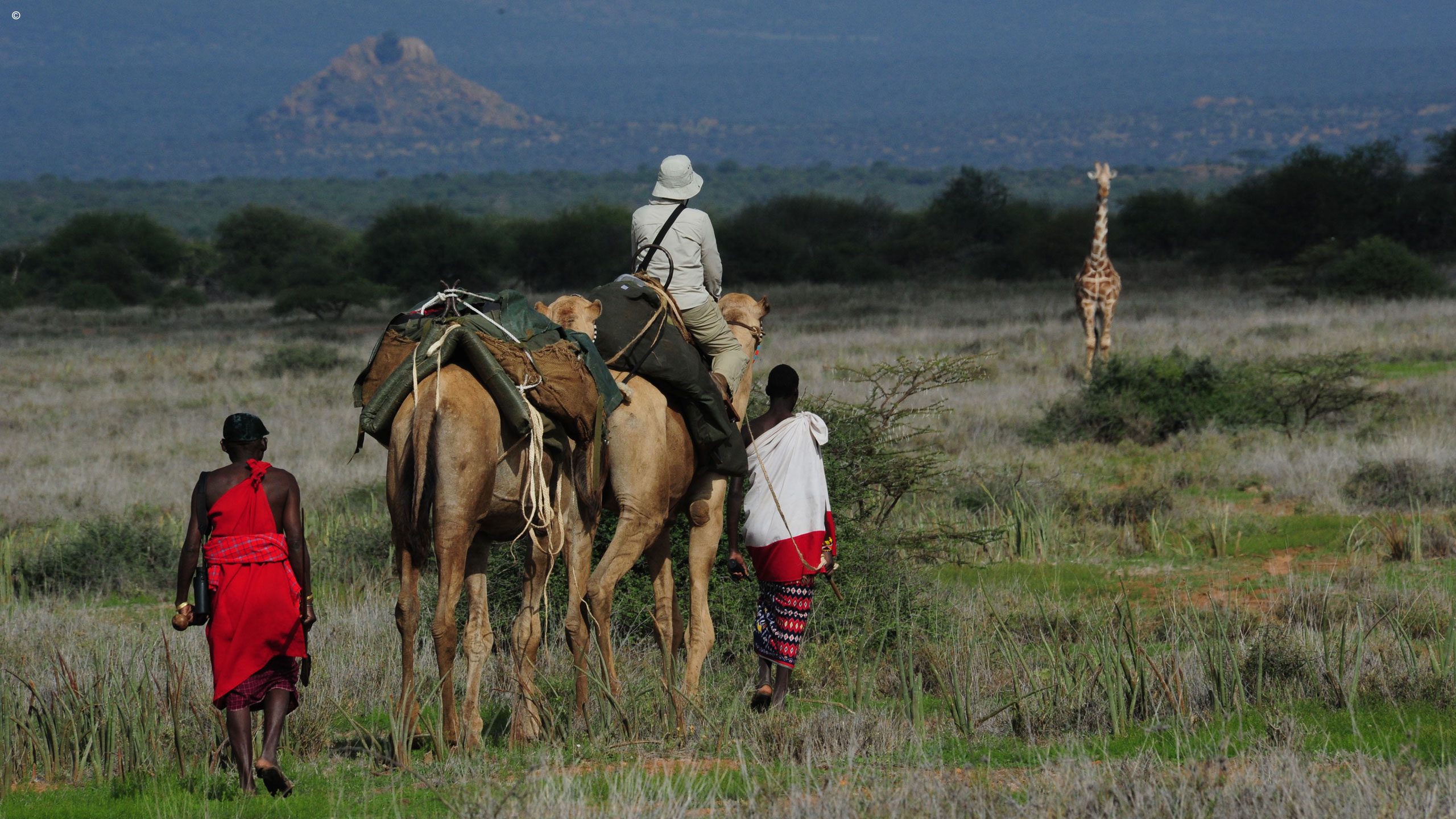 Karisia Tumaren Camel Safari Luxury Mobile Tents