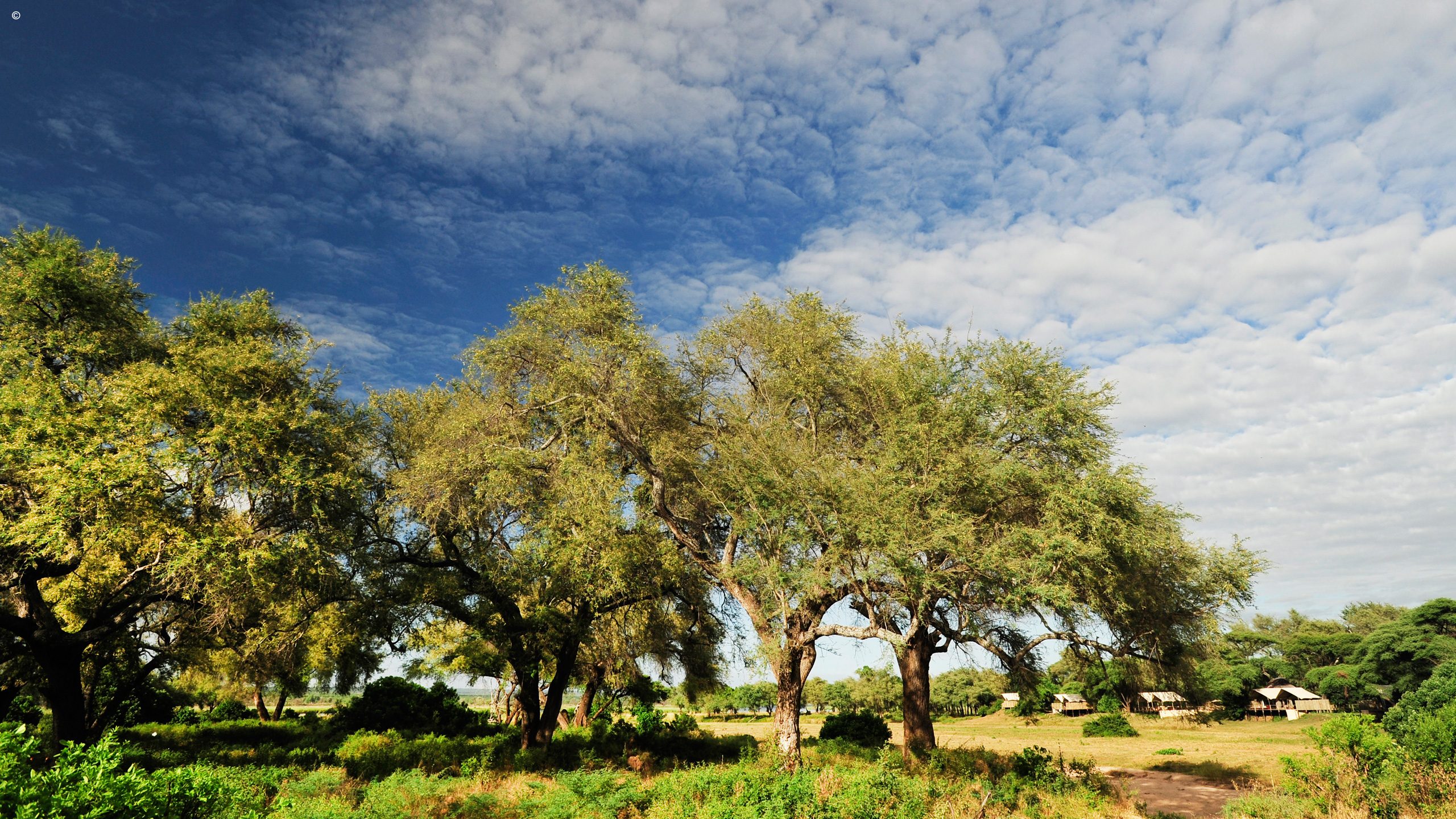 Anabezi Camp