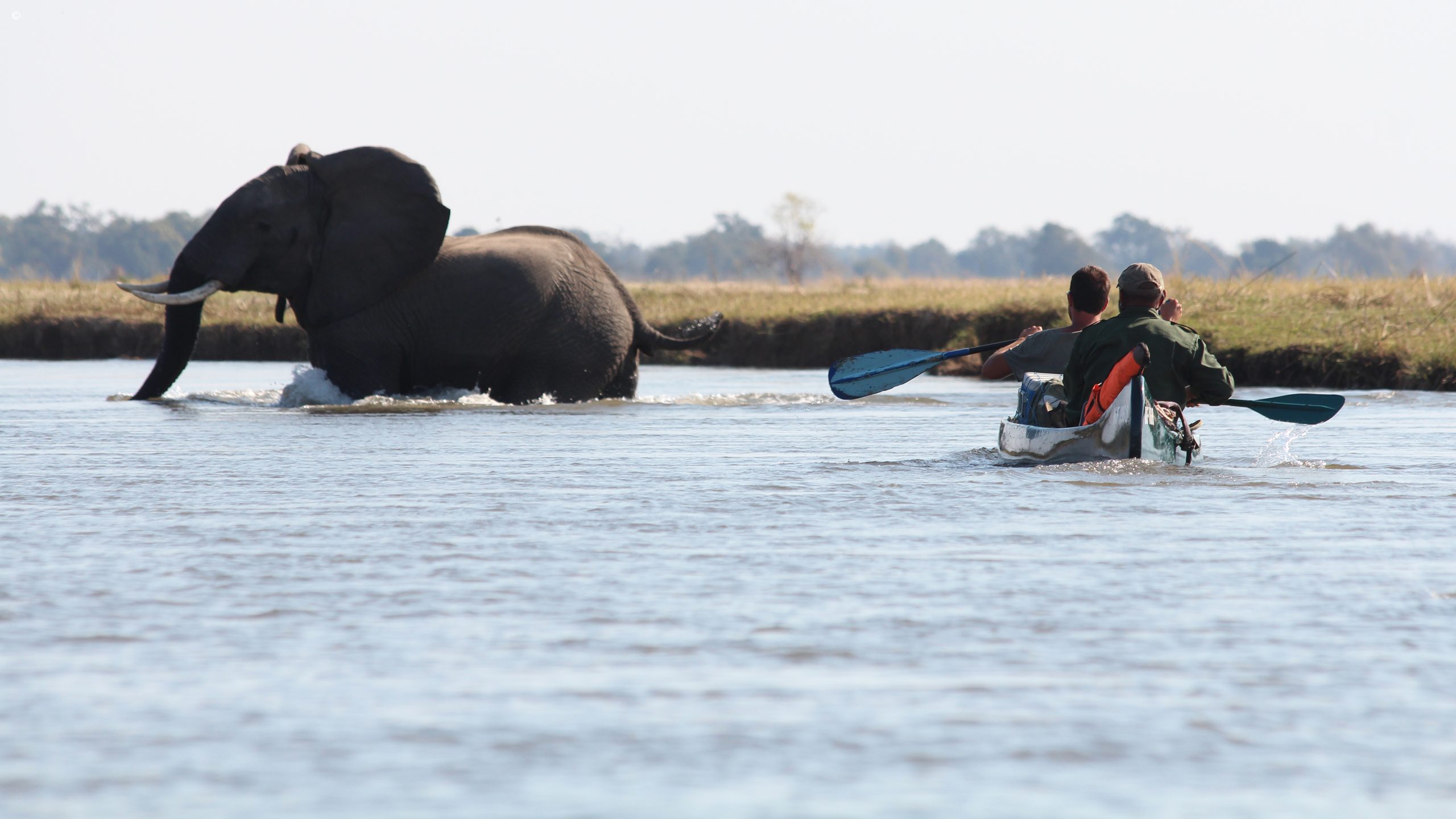Mana Shoreline Canoe Safari