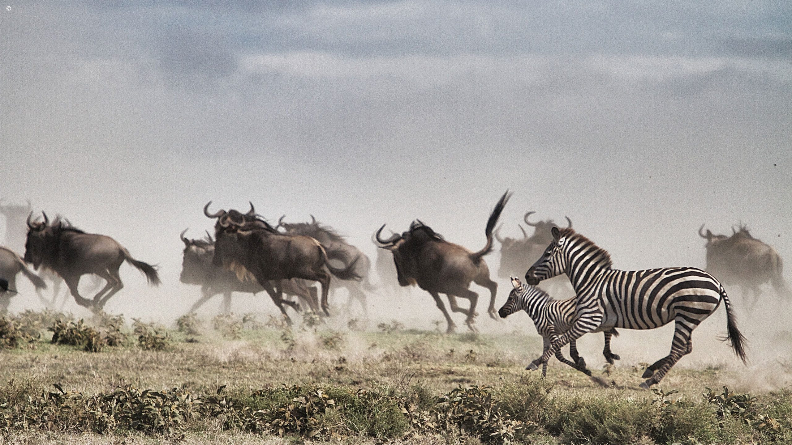 Serian Serengeti South
