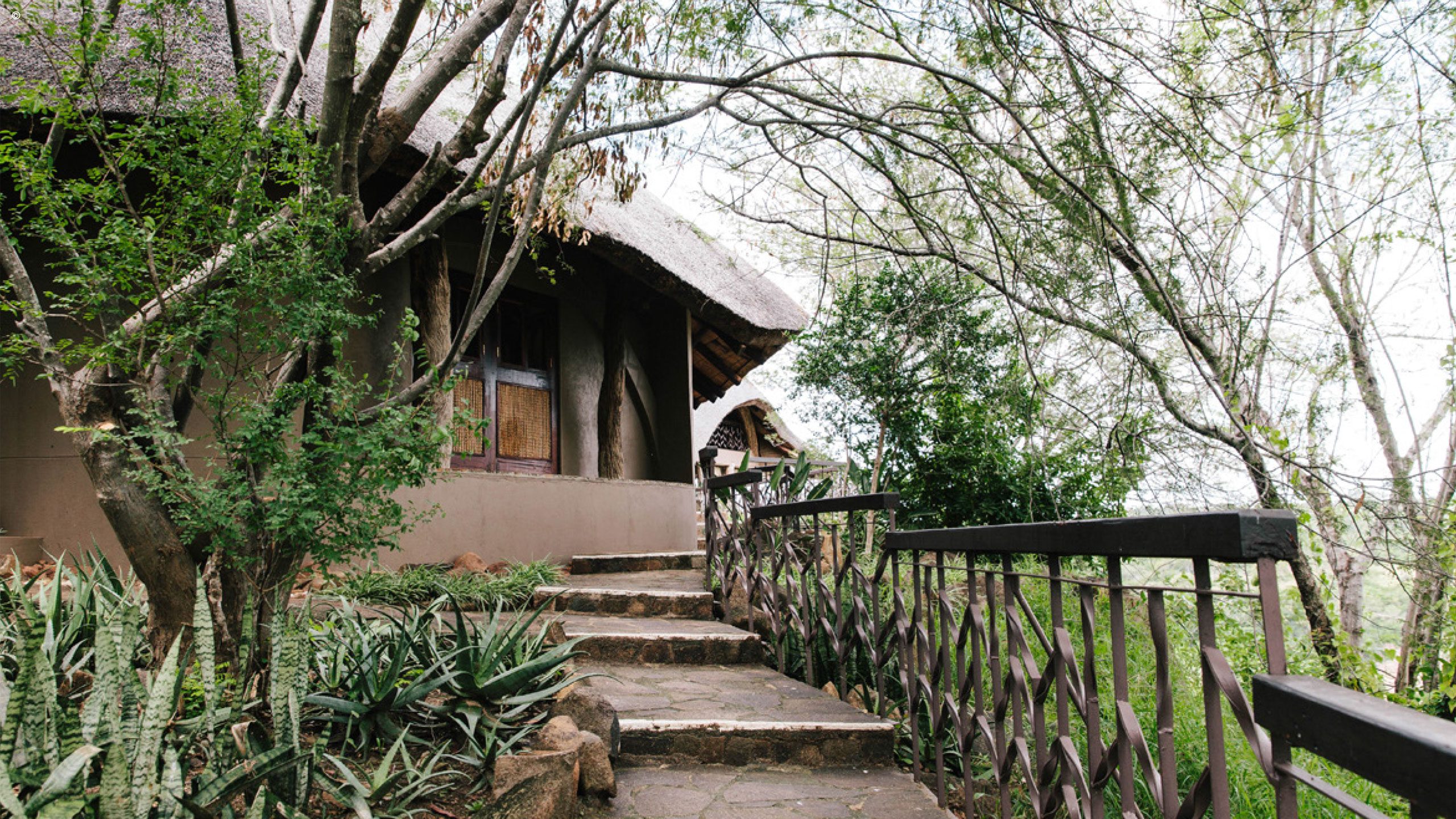 Chilo Gorge Safari Lodge