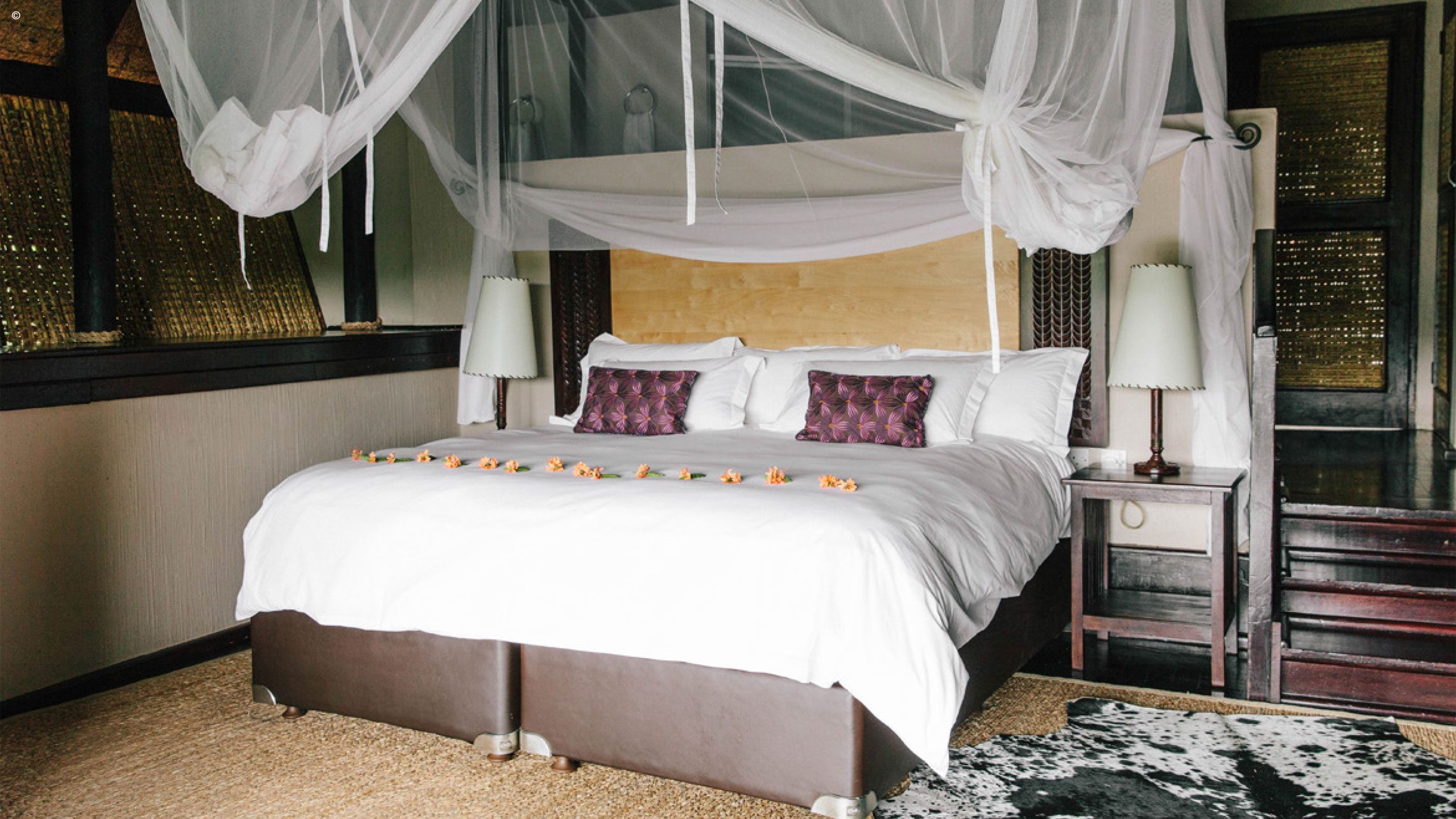 Chilo Gorge Safari Lodge
