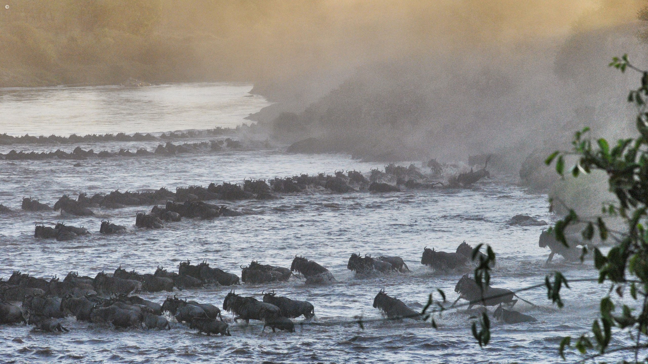 Serian Serengeti North