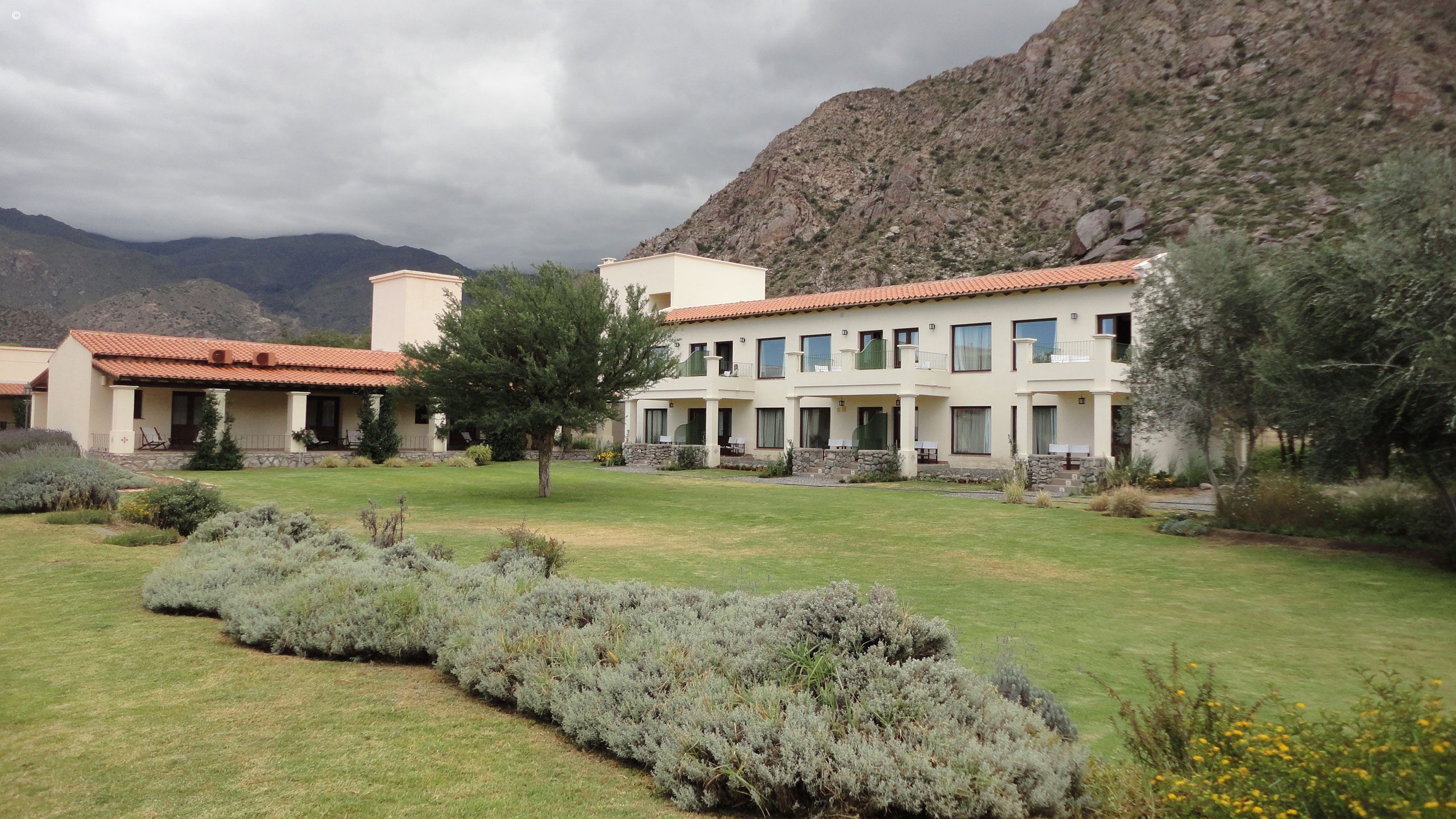 Vinas de Cafayate