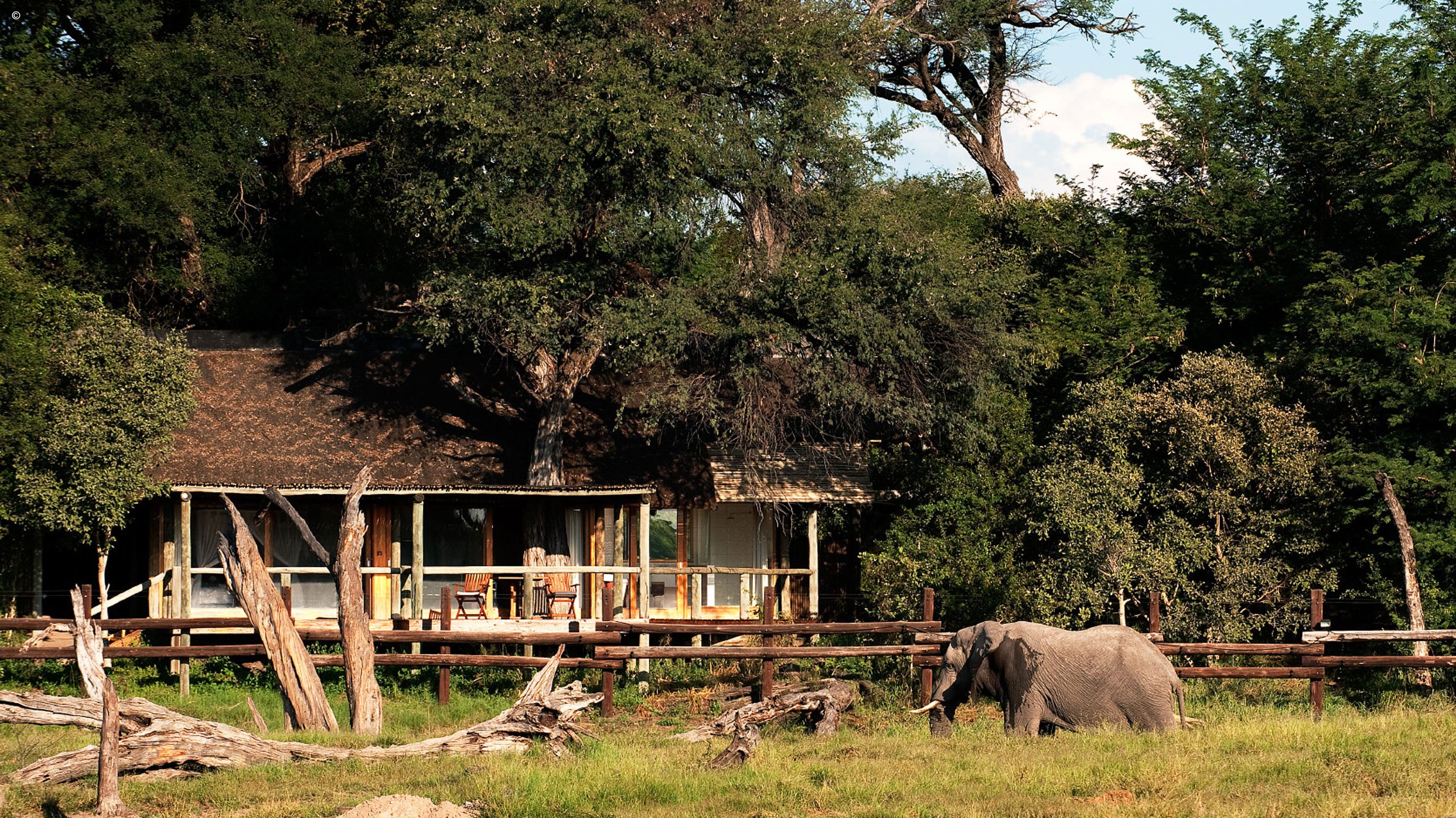 Savute Safari Lodge