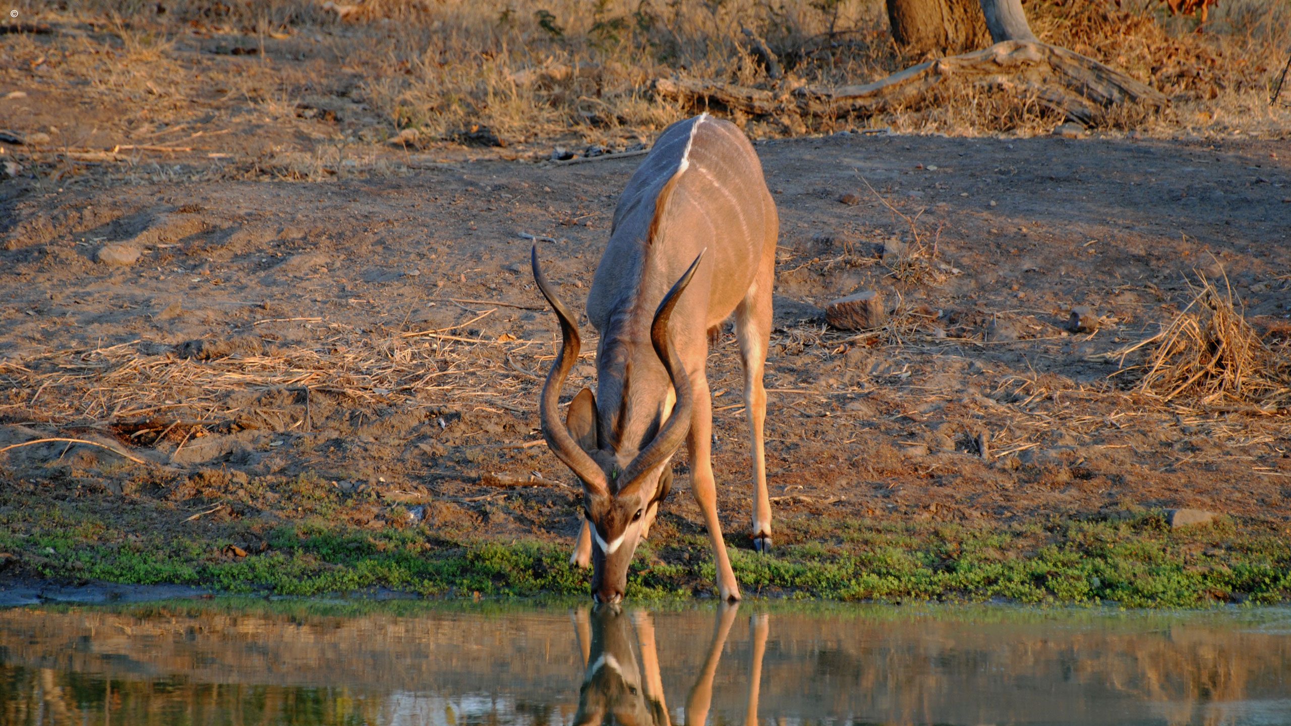 Serondella Game Lodge