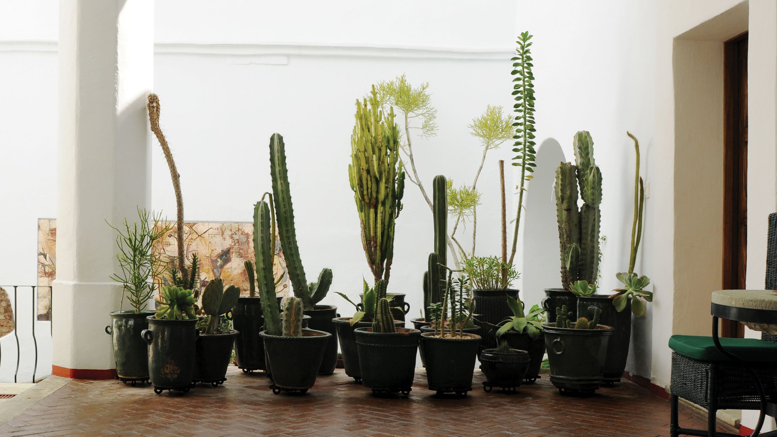 Casa Oaxaca