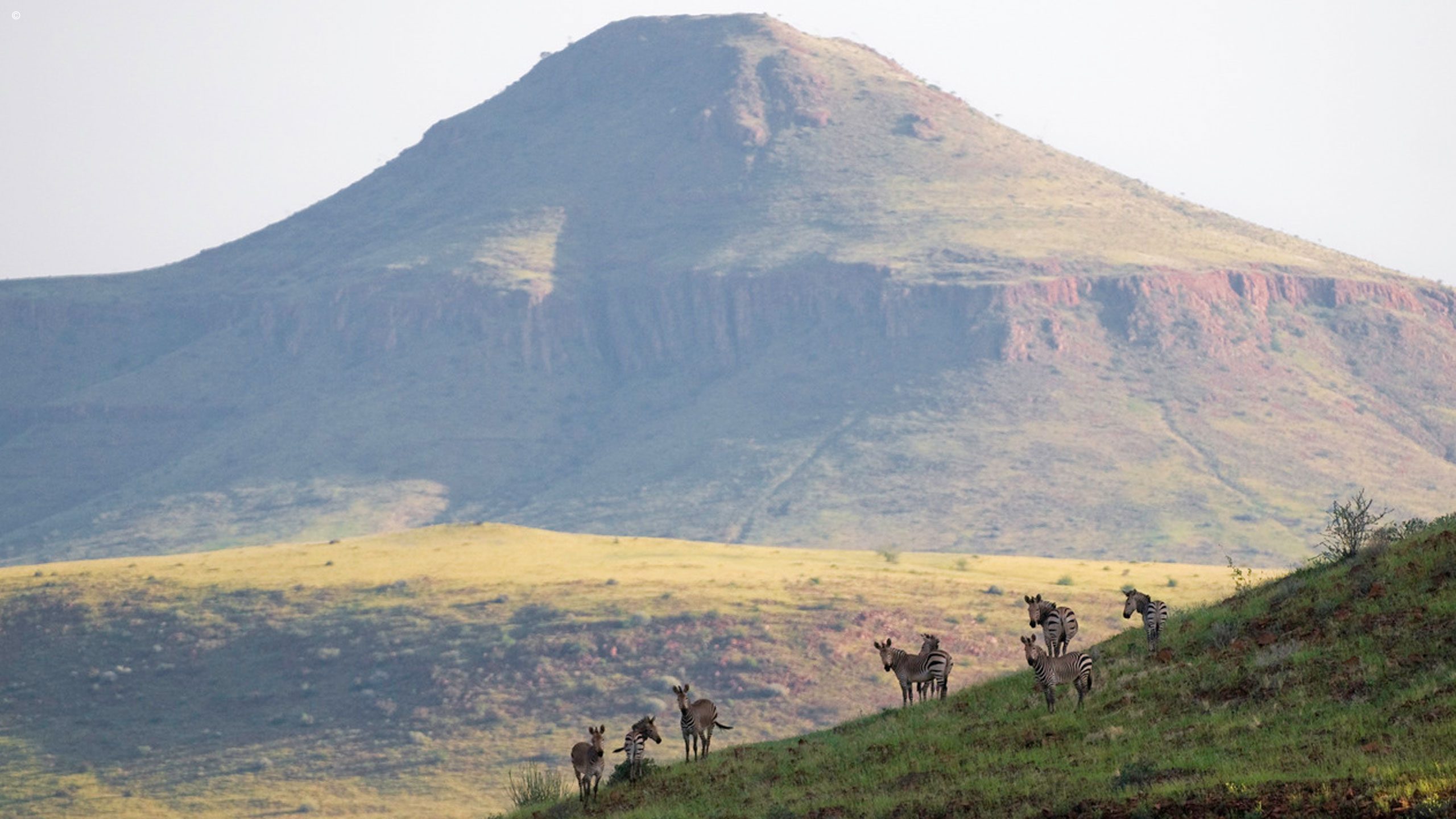 Wilderness Damaraland Camp