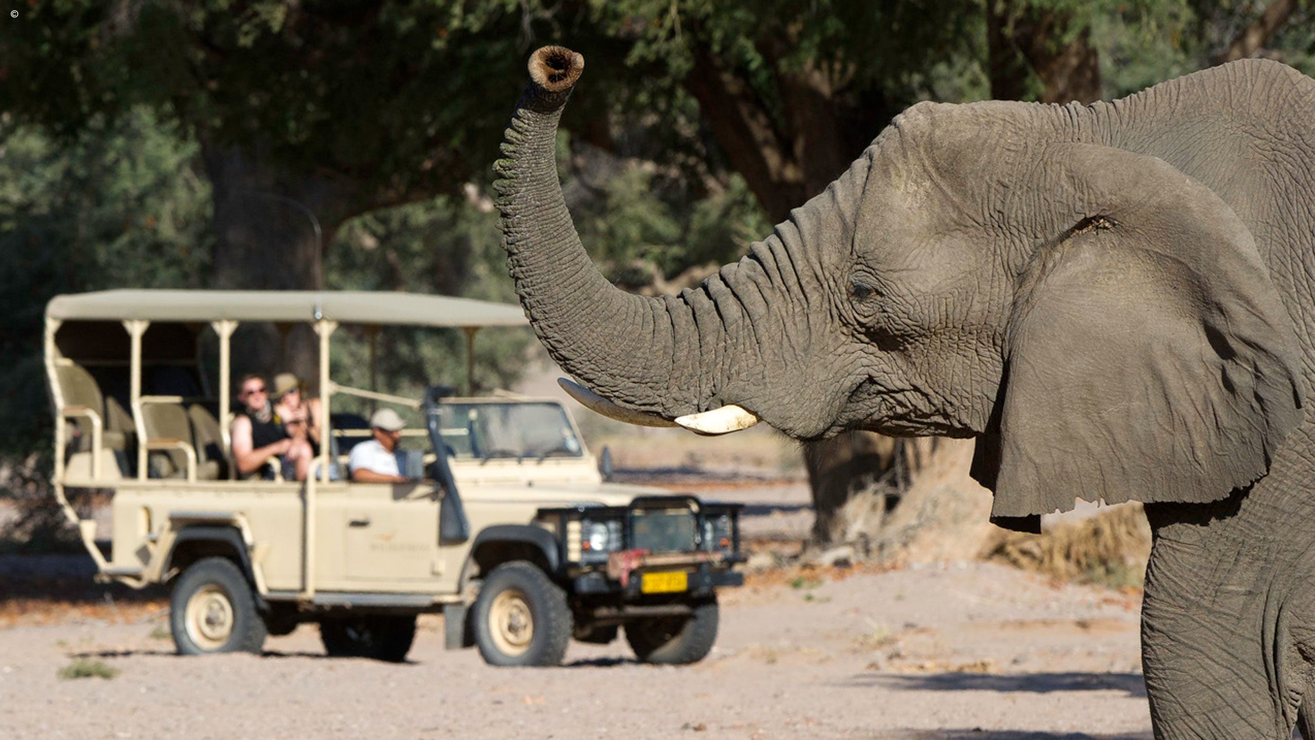 Wilderness Damaraland Camp
