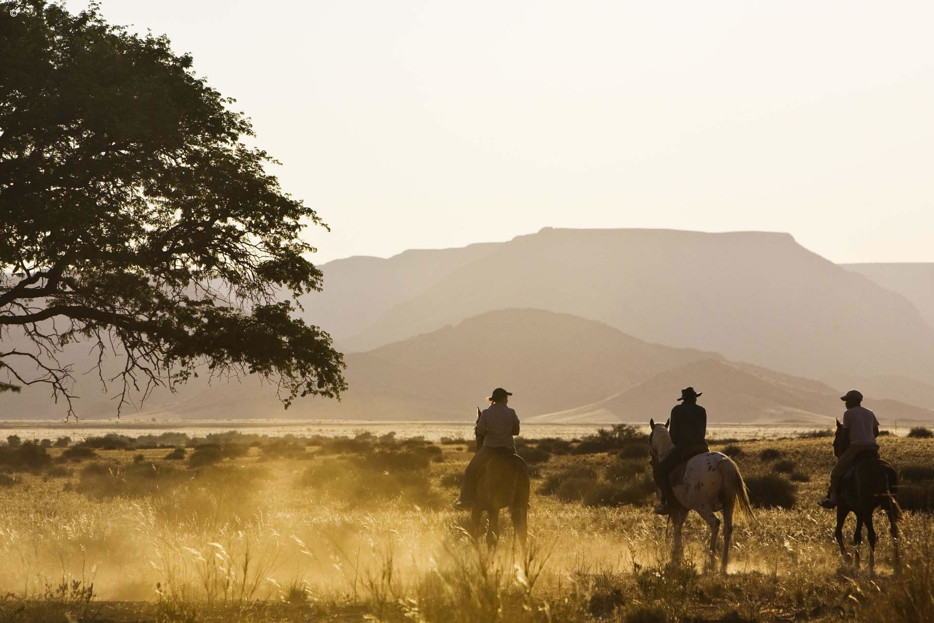 Desert Homestead Lodge