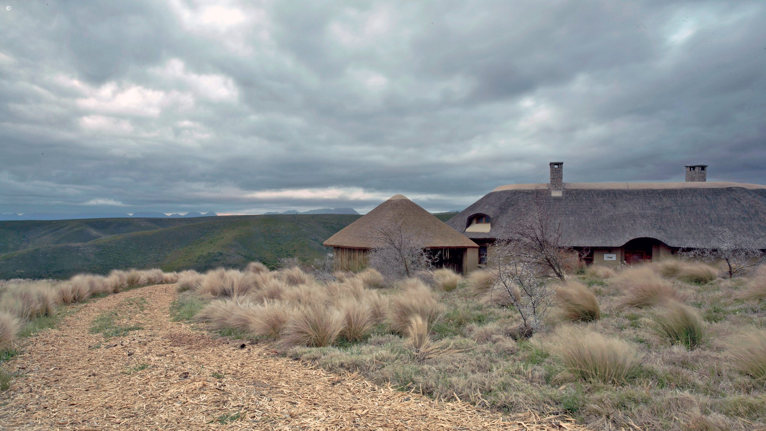 Private Bush Villas