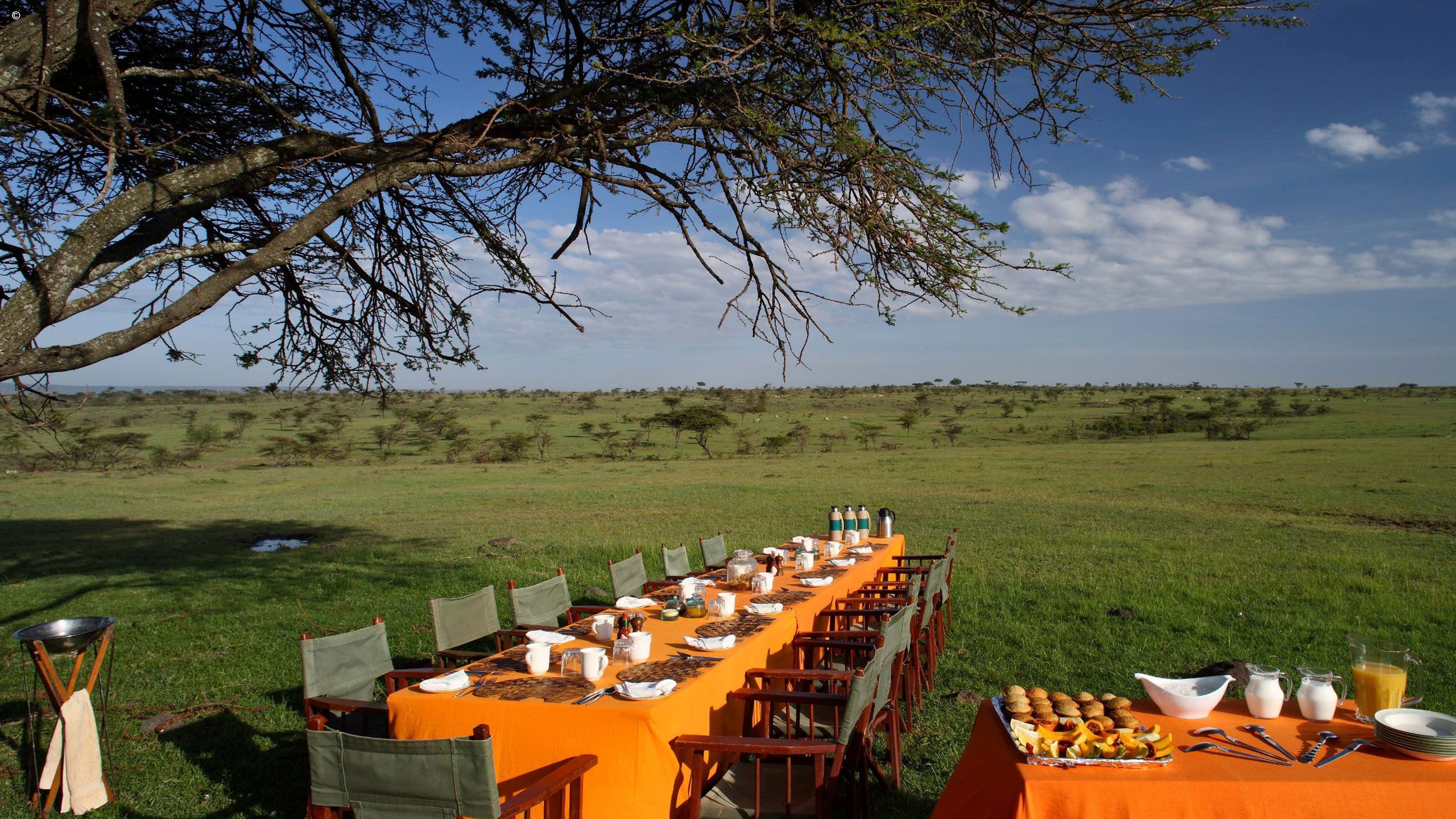 Elephant Pepper Camp