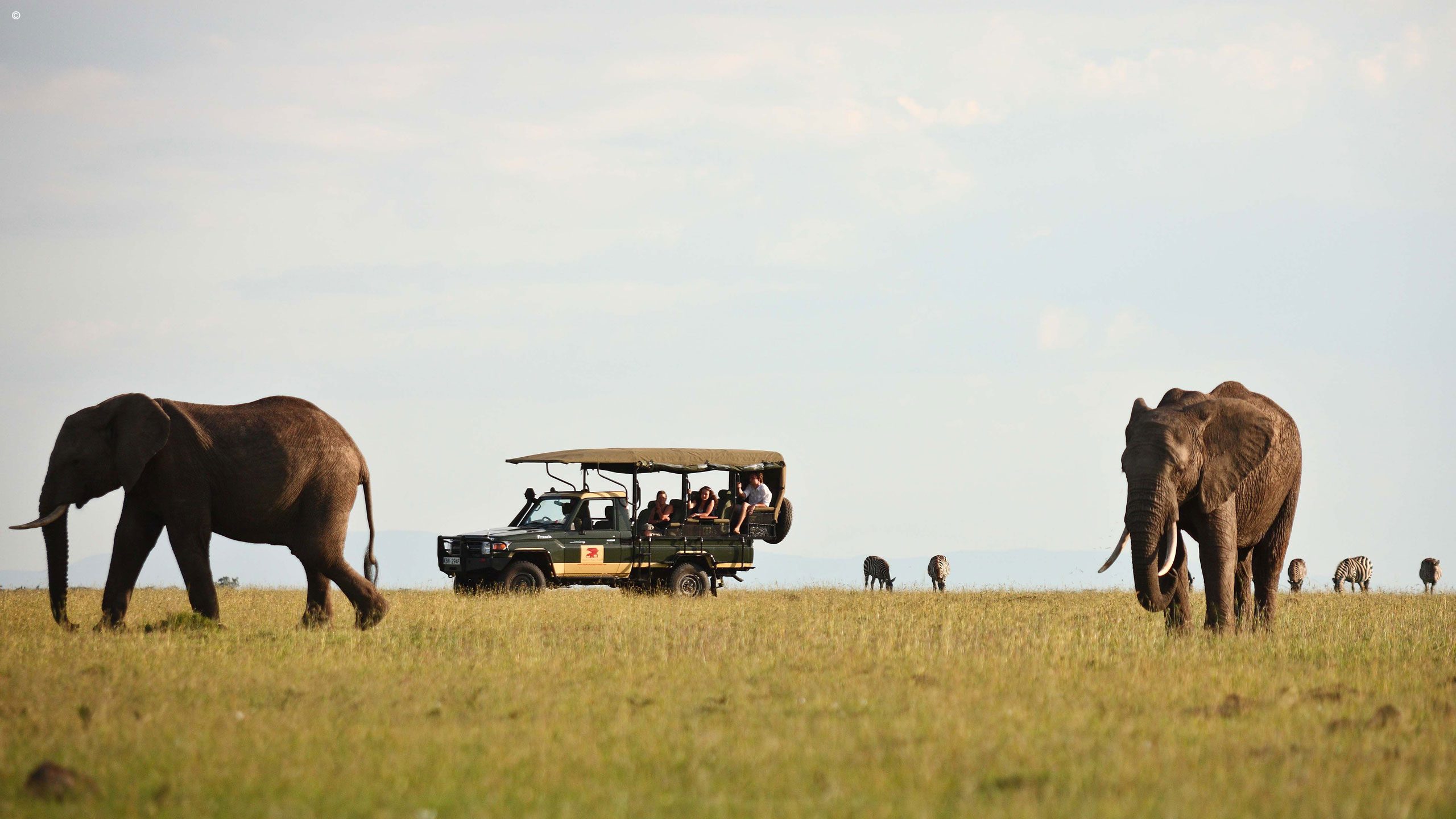 Elephant Pepper Camp