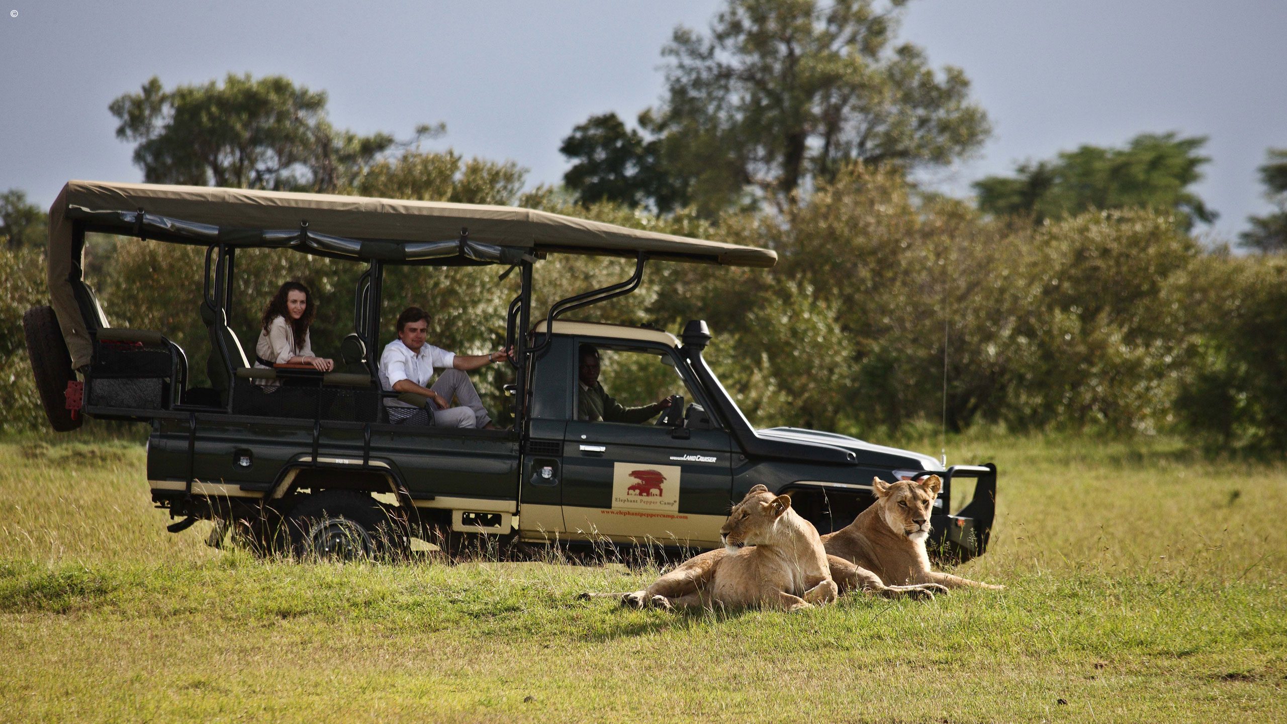 Elephant Pepper Camp