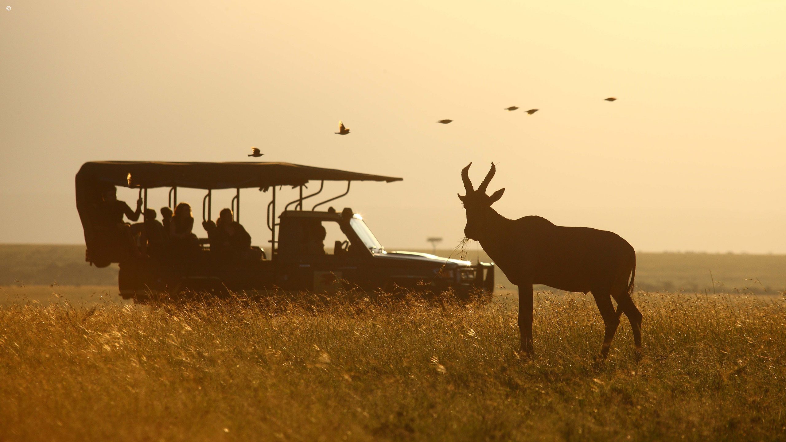 Elephant Pepper Camp