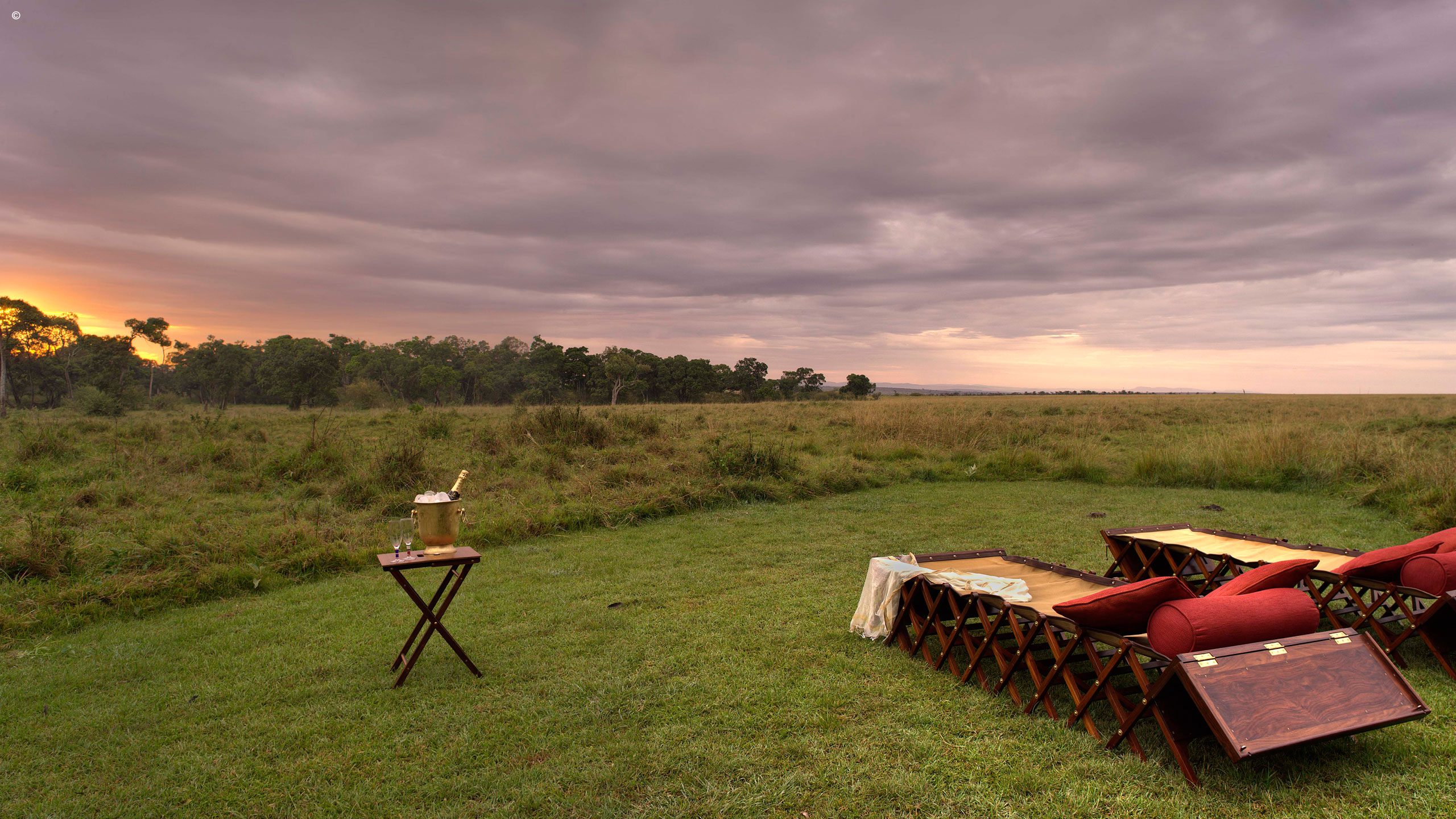 Elephant Pepper Camp