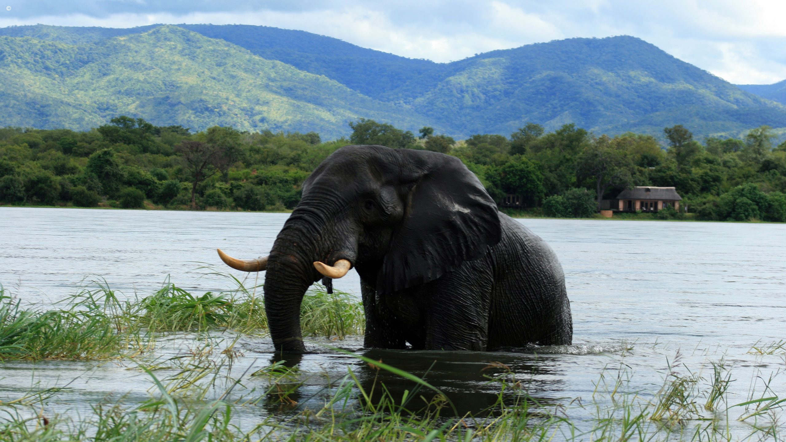 Royal Zambezi Lodge