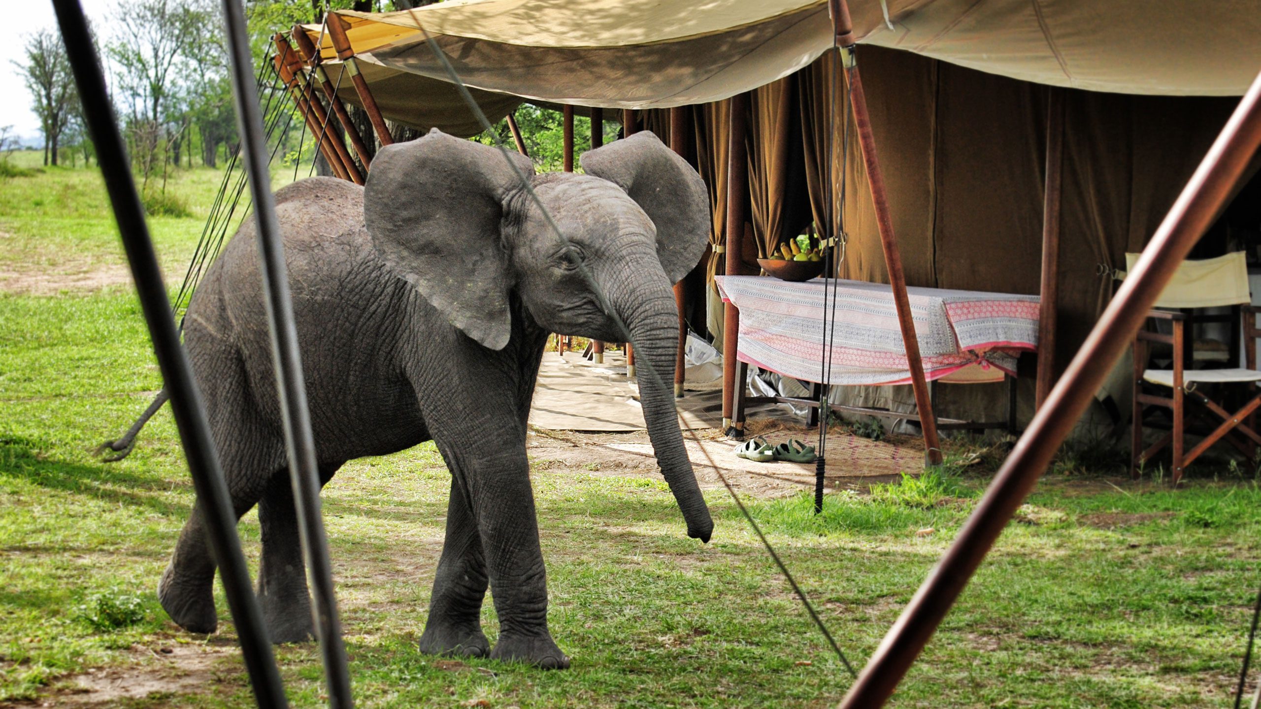 Serian Serengeti North