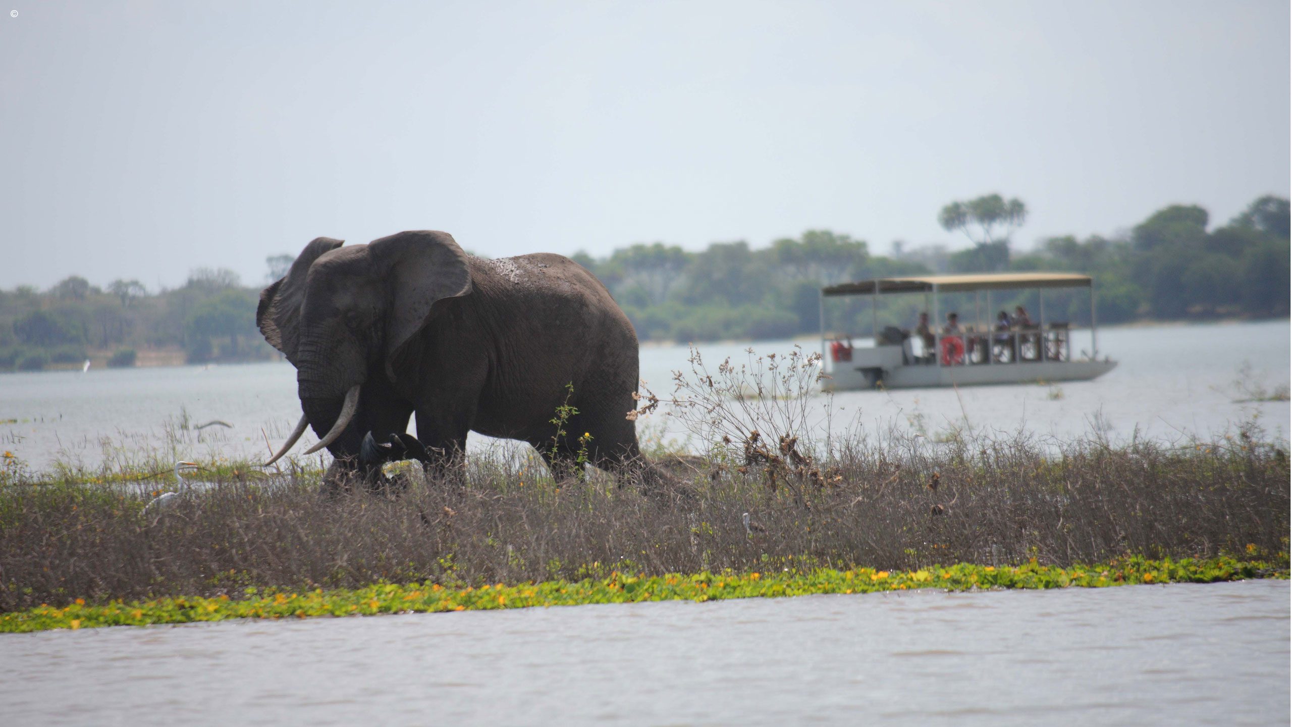 Siwandu Camp