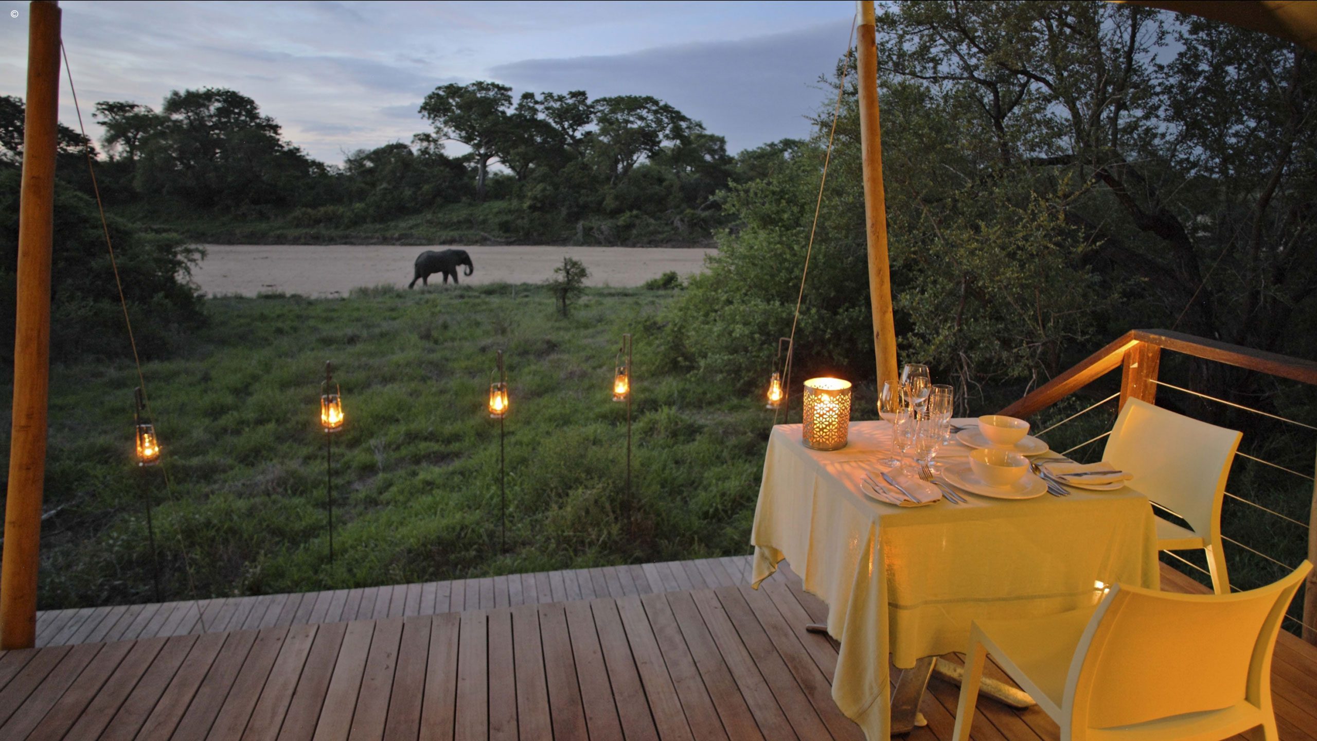 Ngala Tented Camp