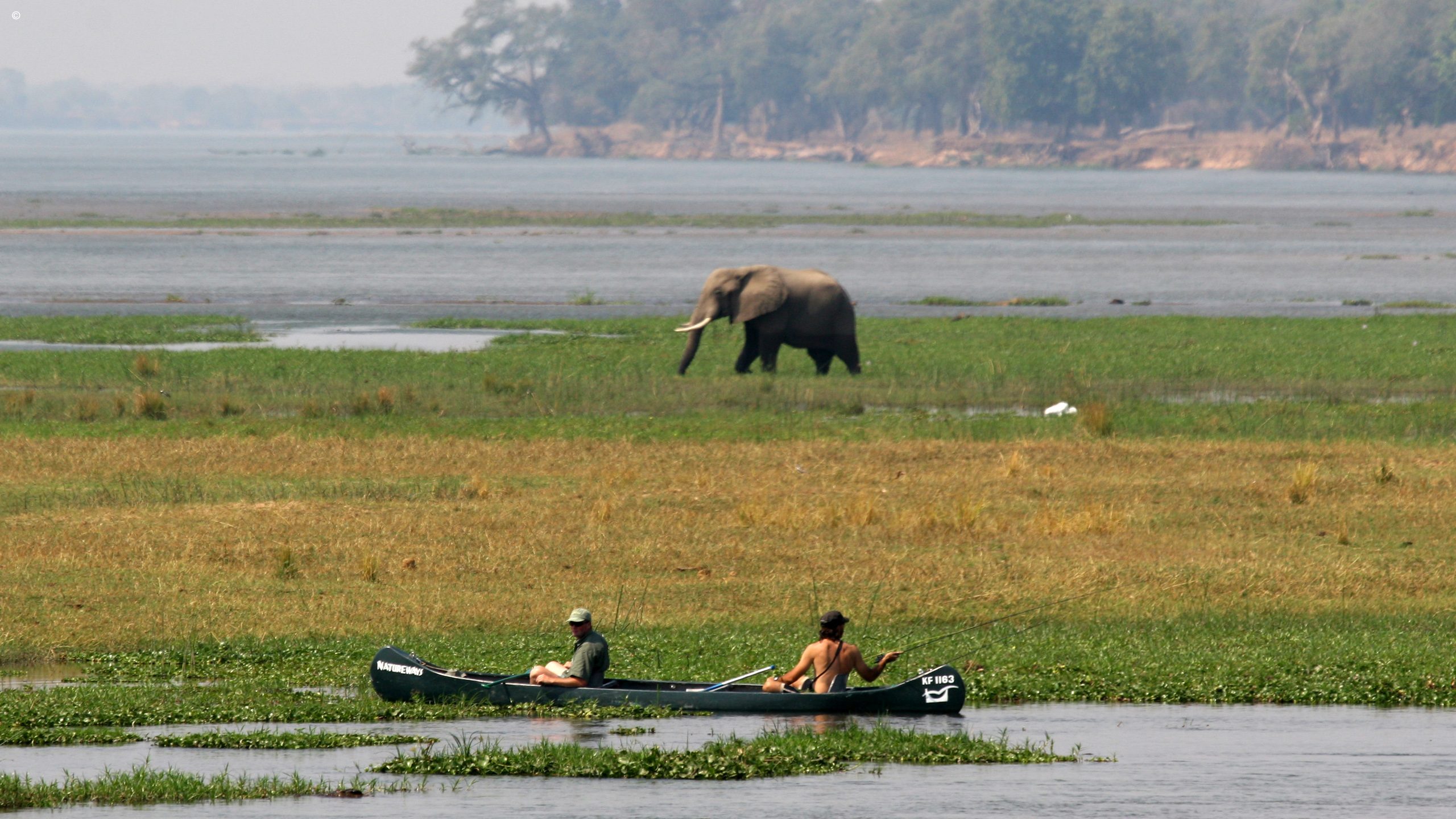 Mana Shoreline Canoe Safari
