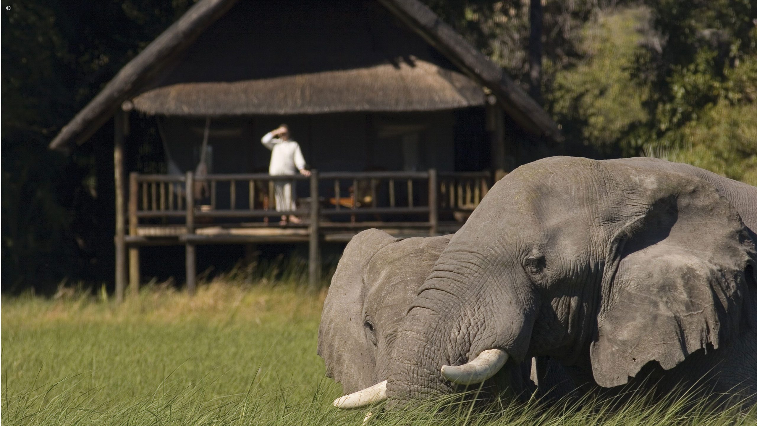 Khwai River Lodge