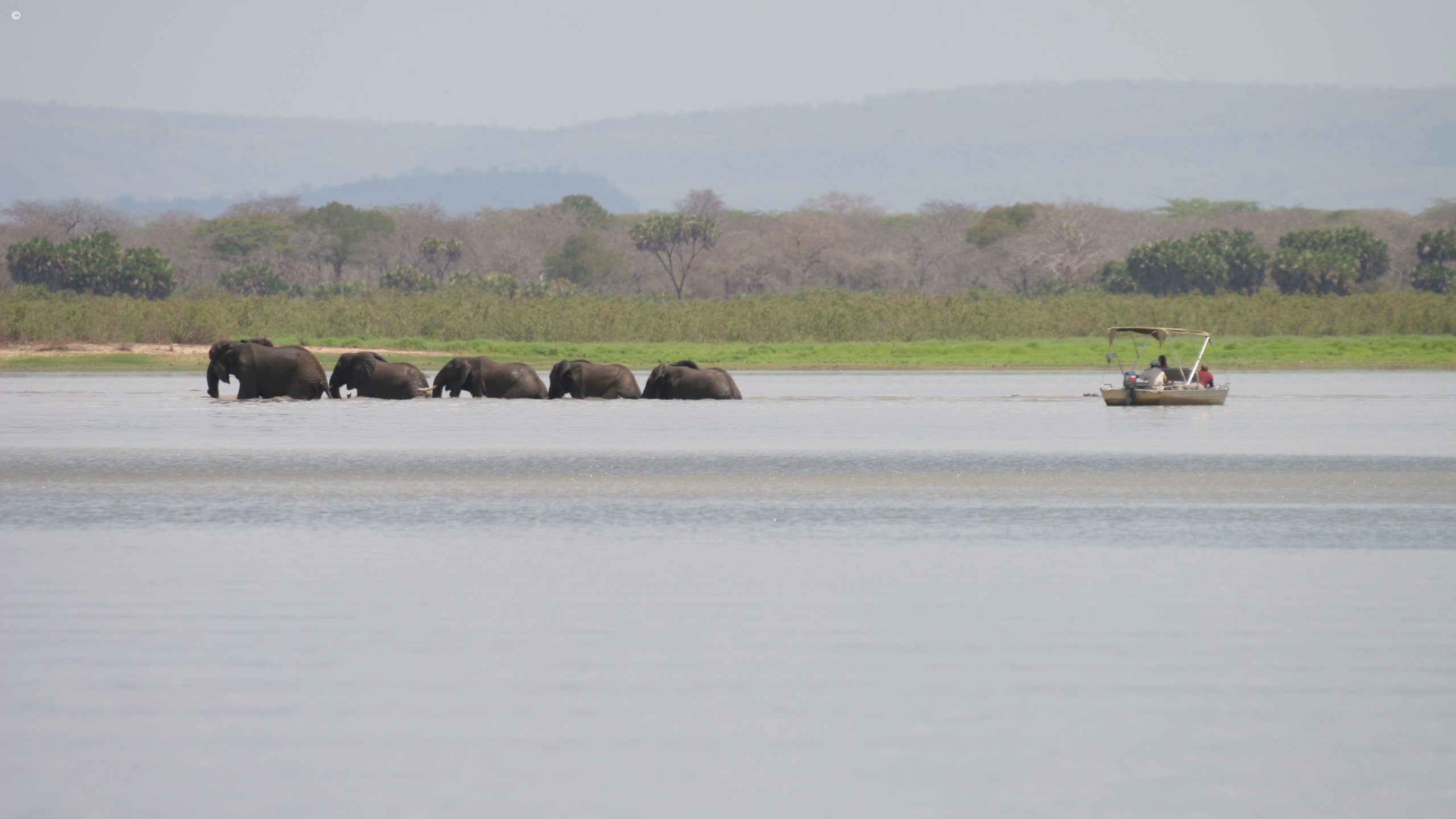 Siwandu Camp