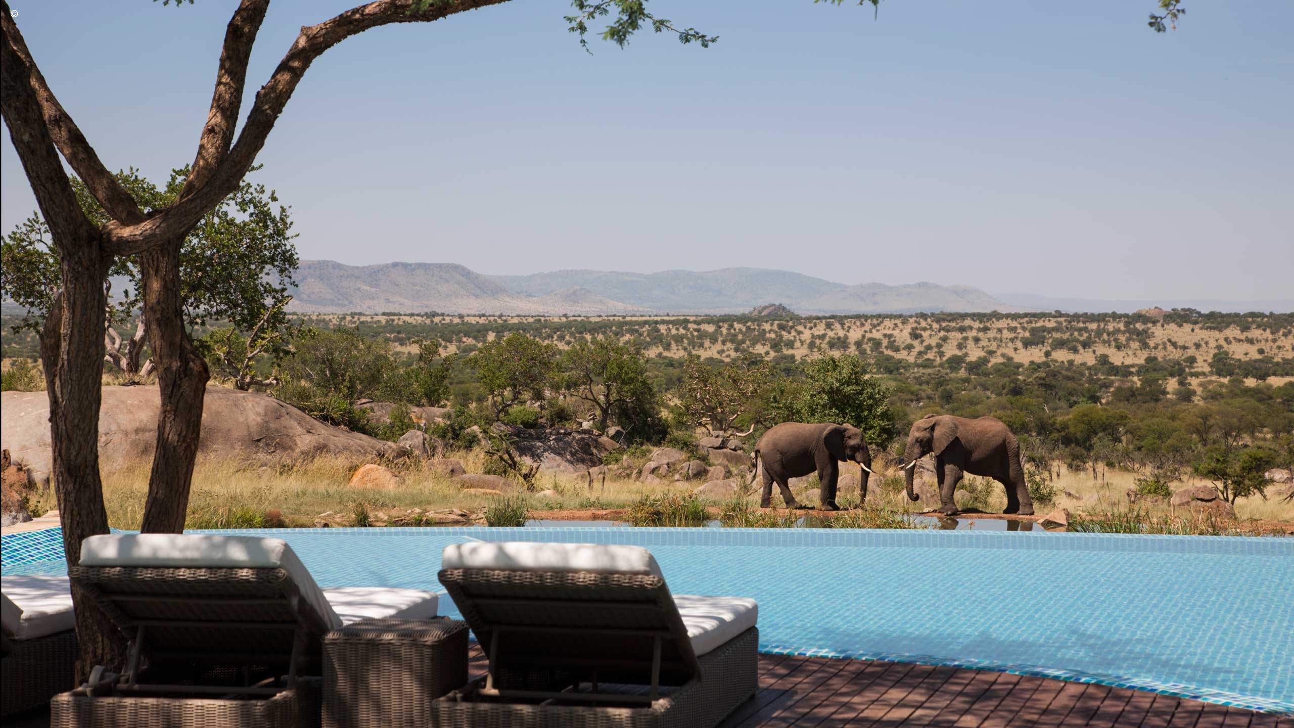Four Seasons Safari Lodge Serengeti