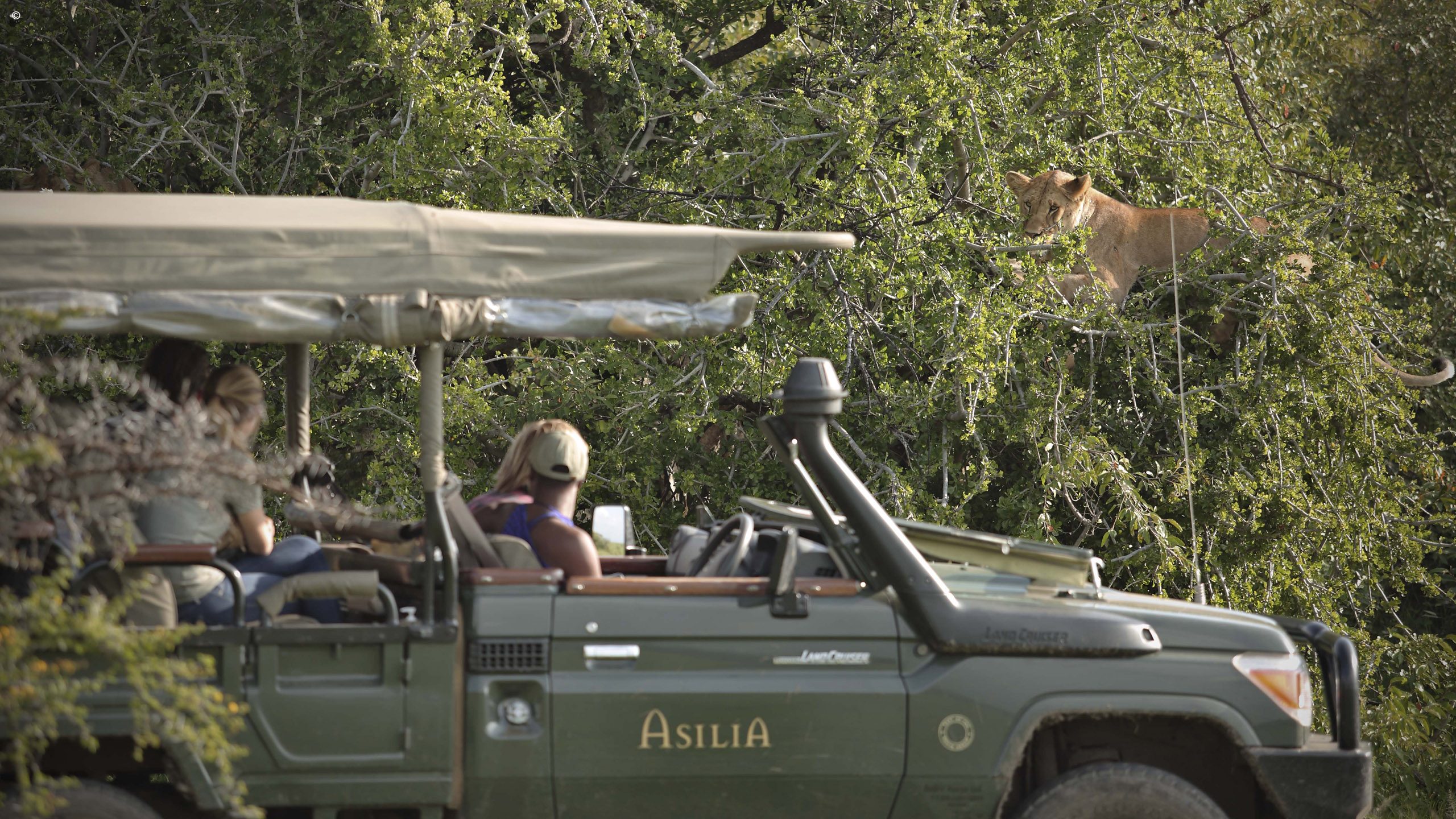 Encounter Mara Camp