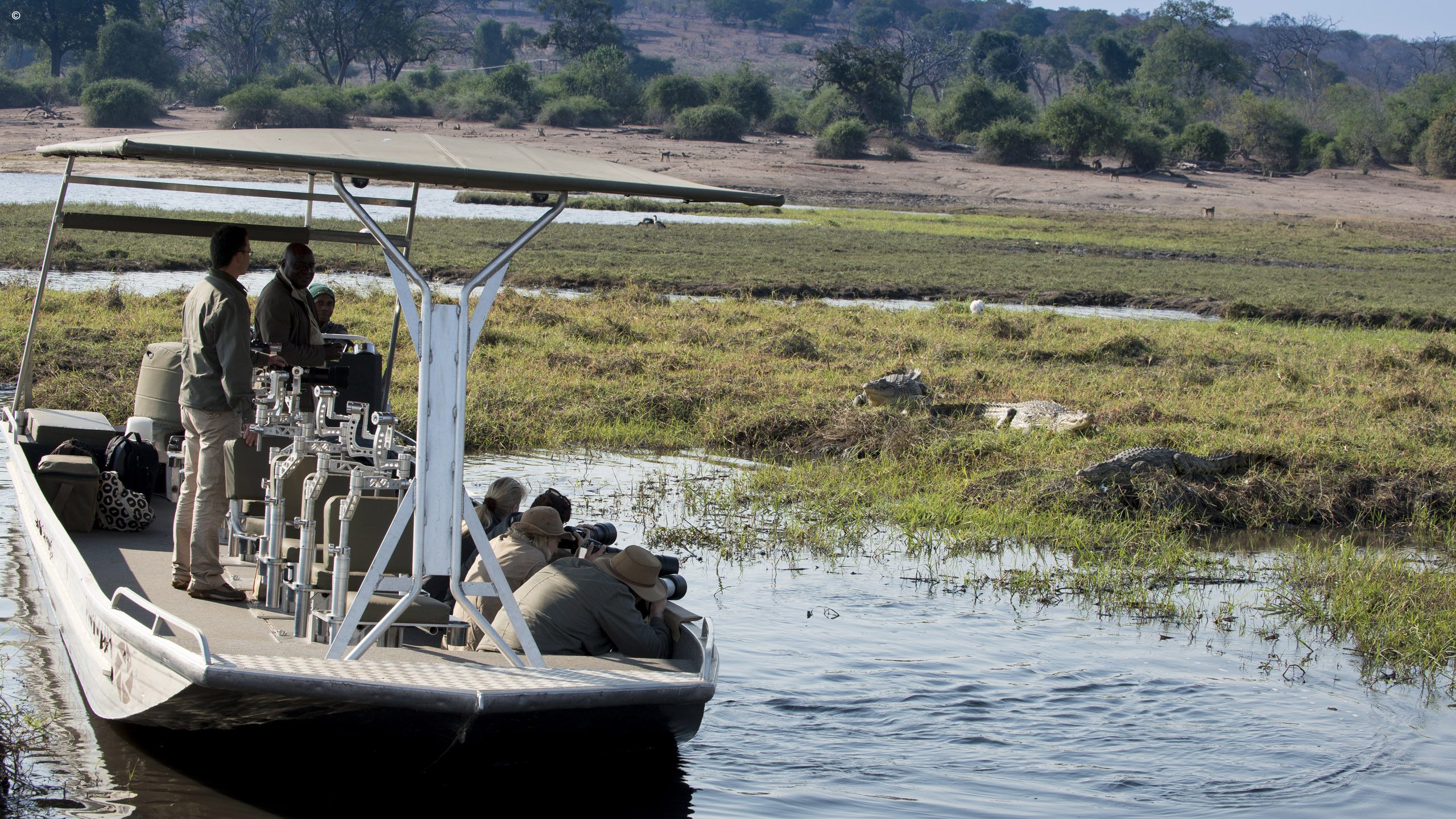 Chobe Under Canvas