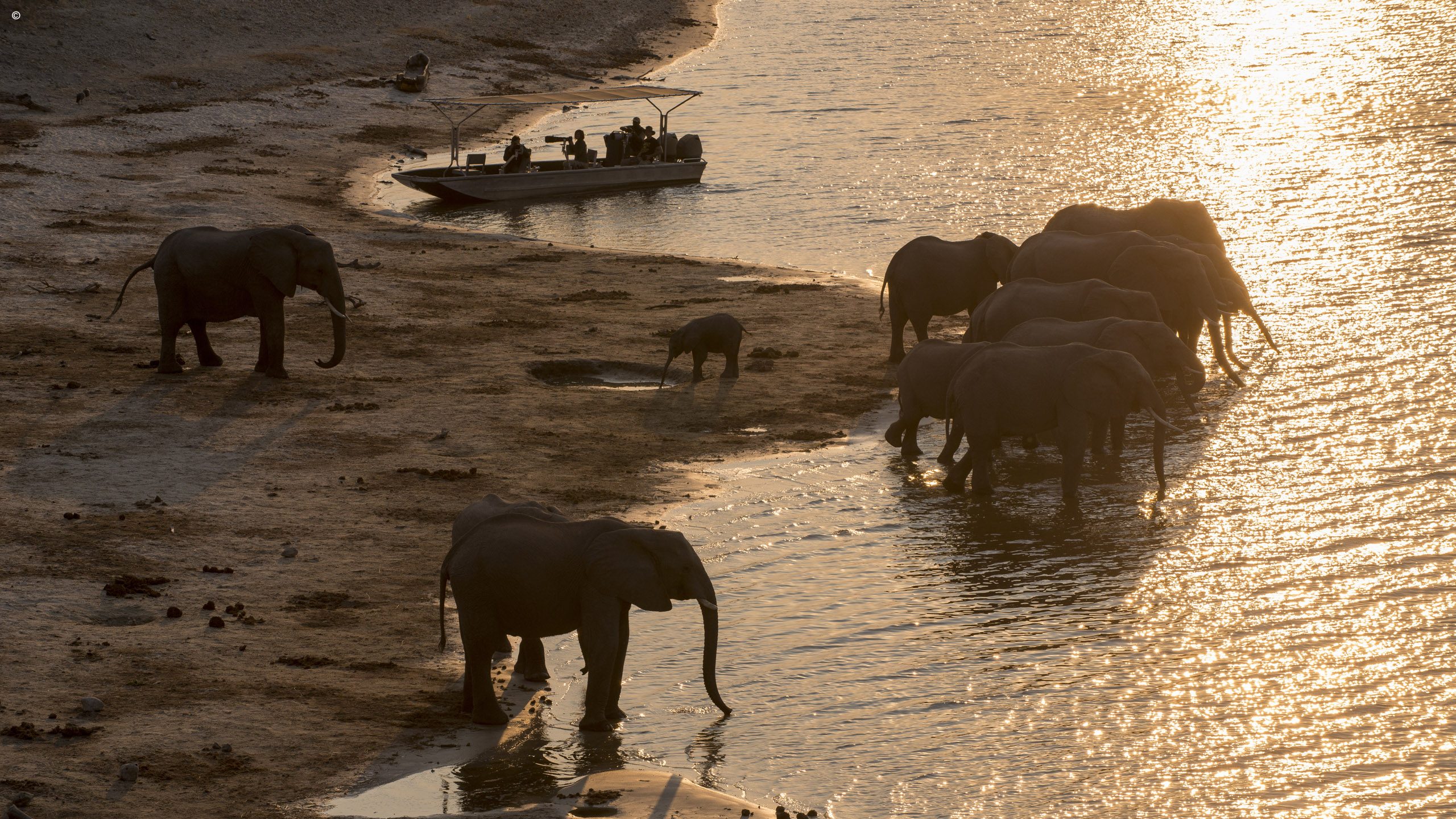 Chobe Under Canvas