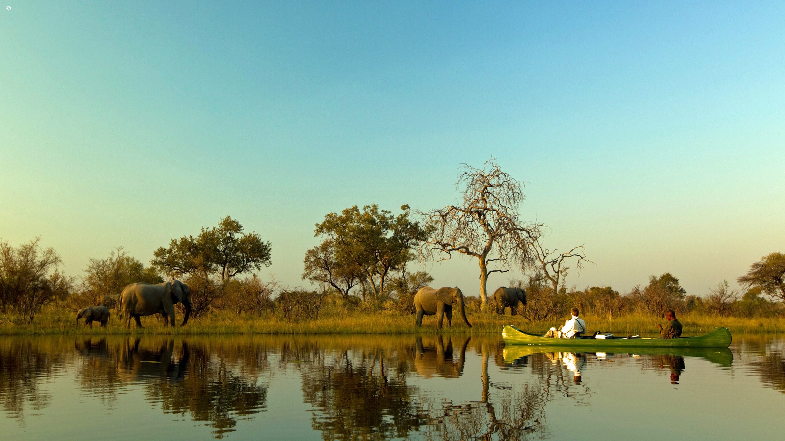 Selinda Explorers Camp