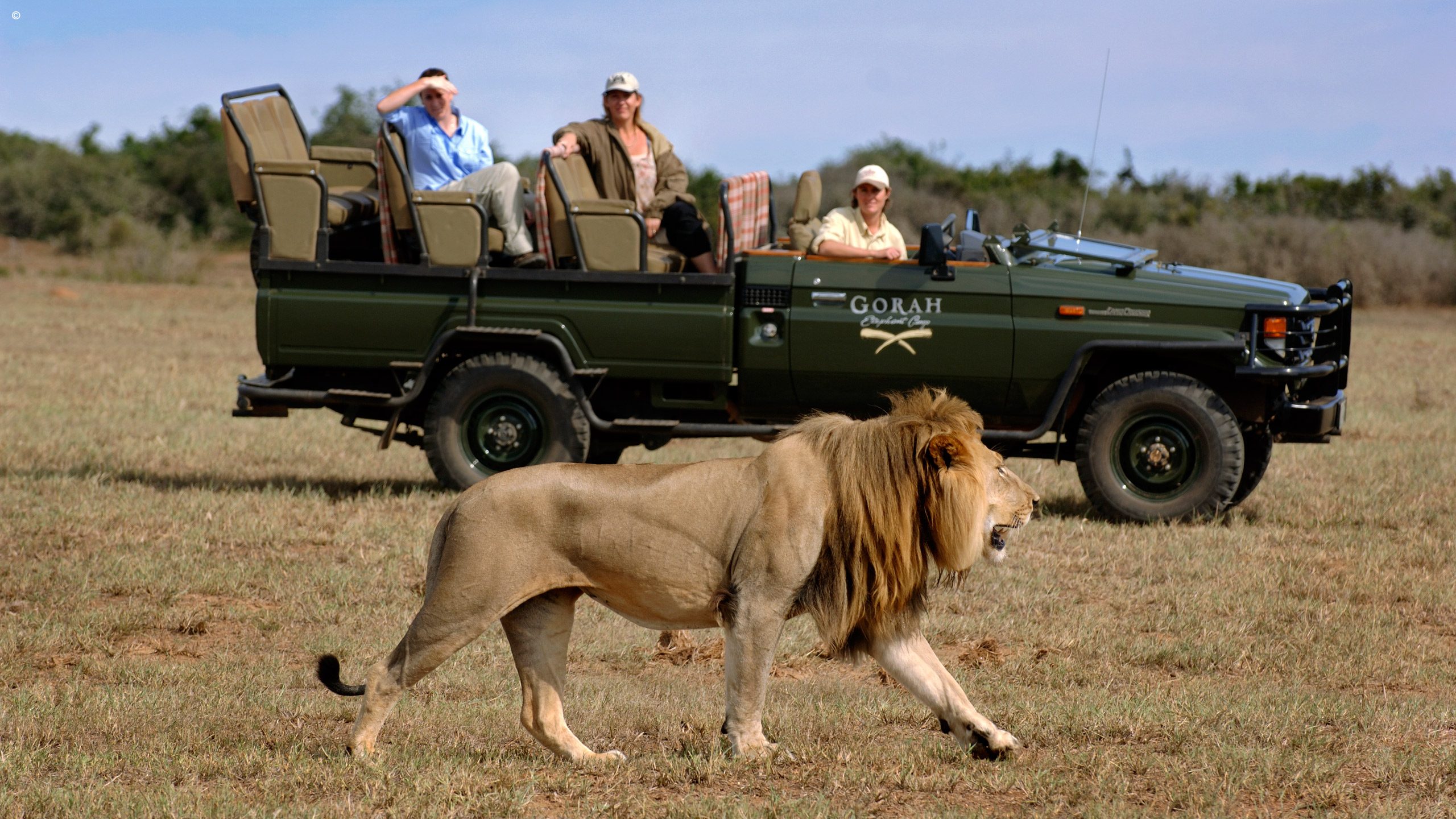 Gorah Elephant Camp